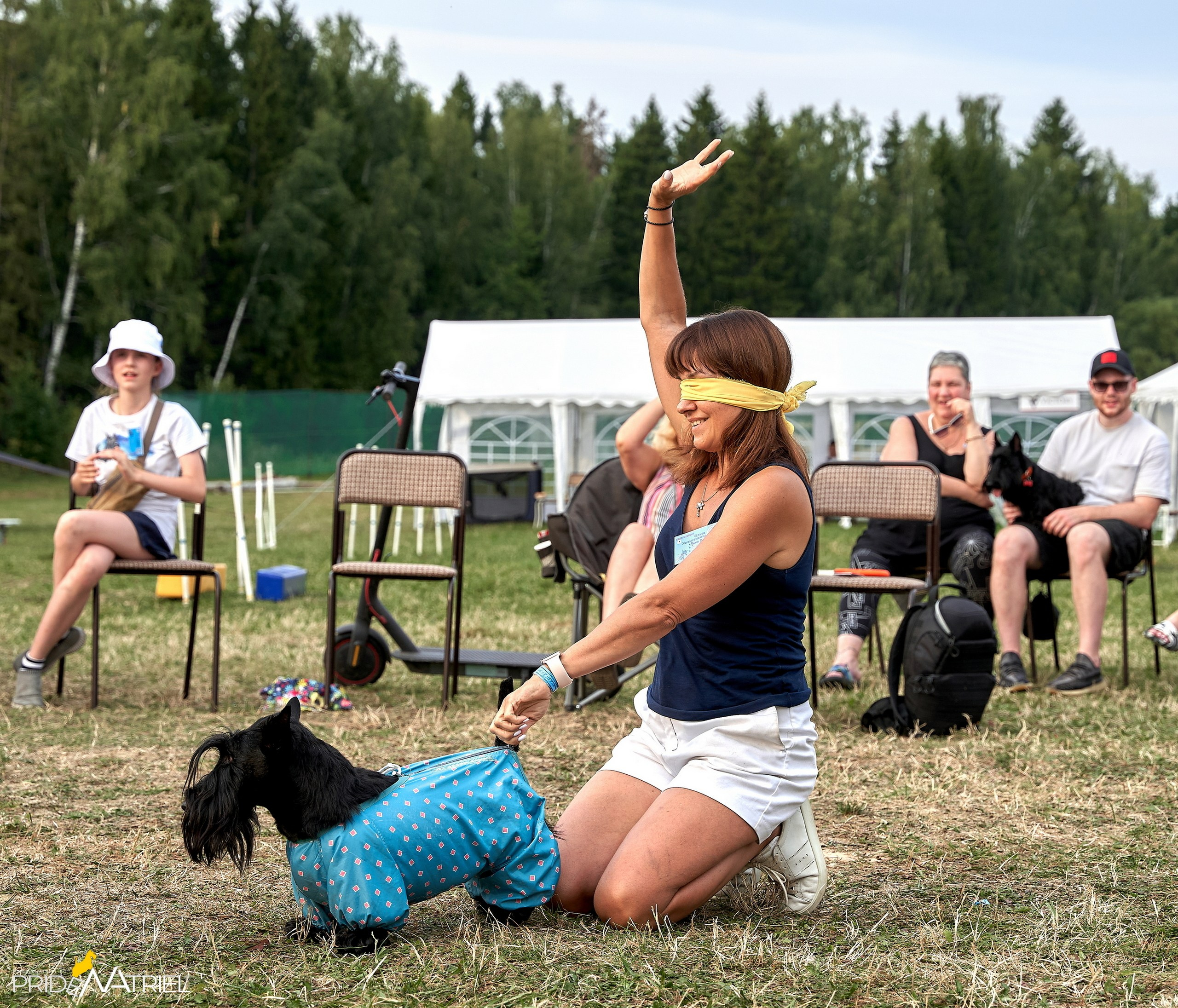 Мероприятия с собаками — галерея NATRIEL