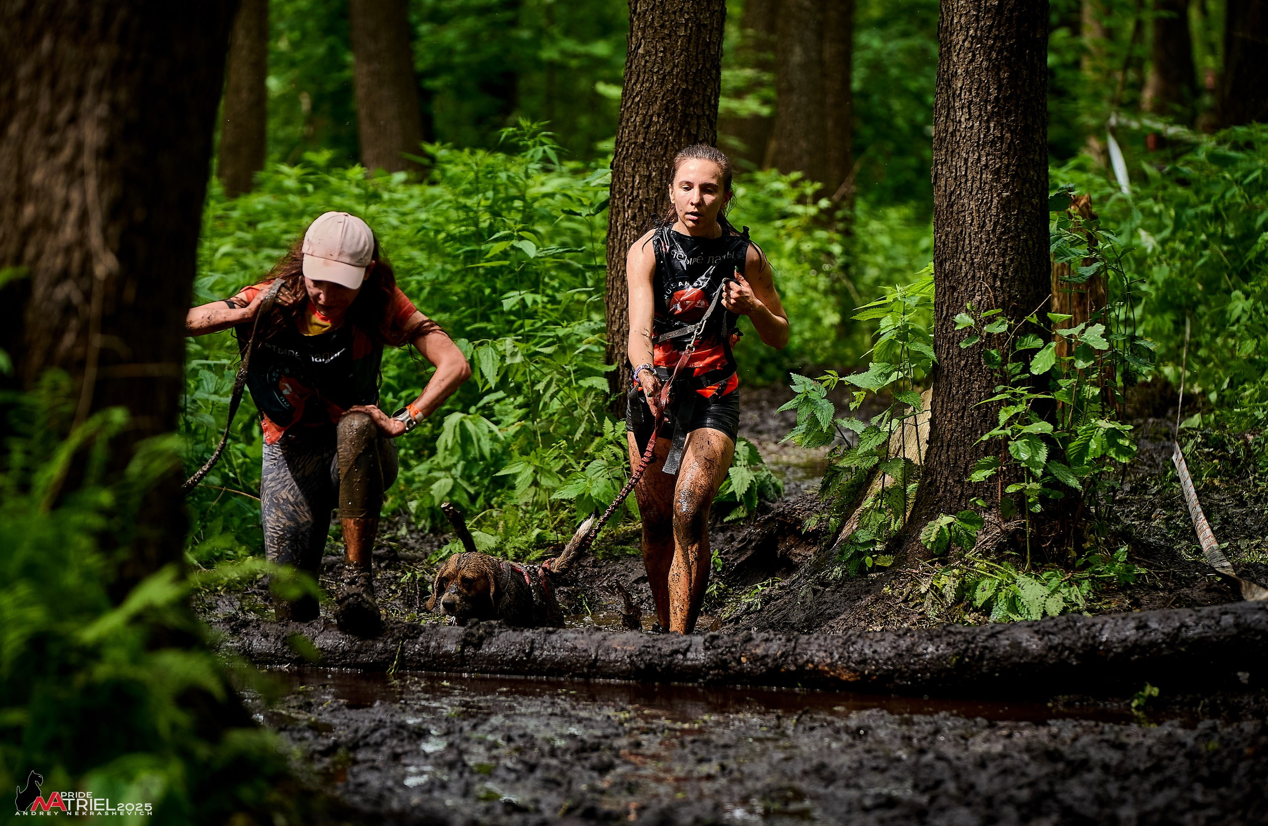 Russian Extreme Dog Trail — 2025