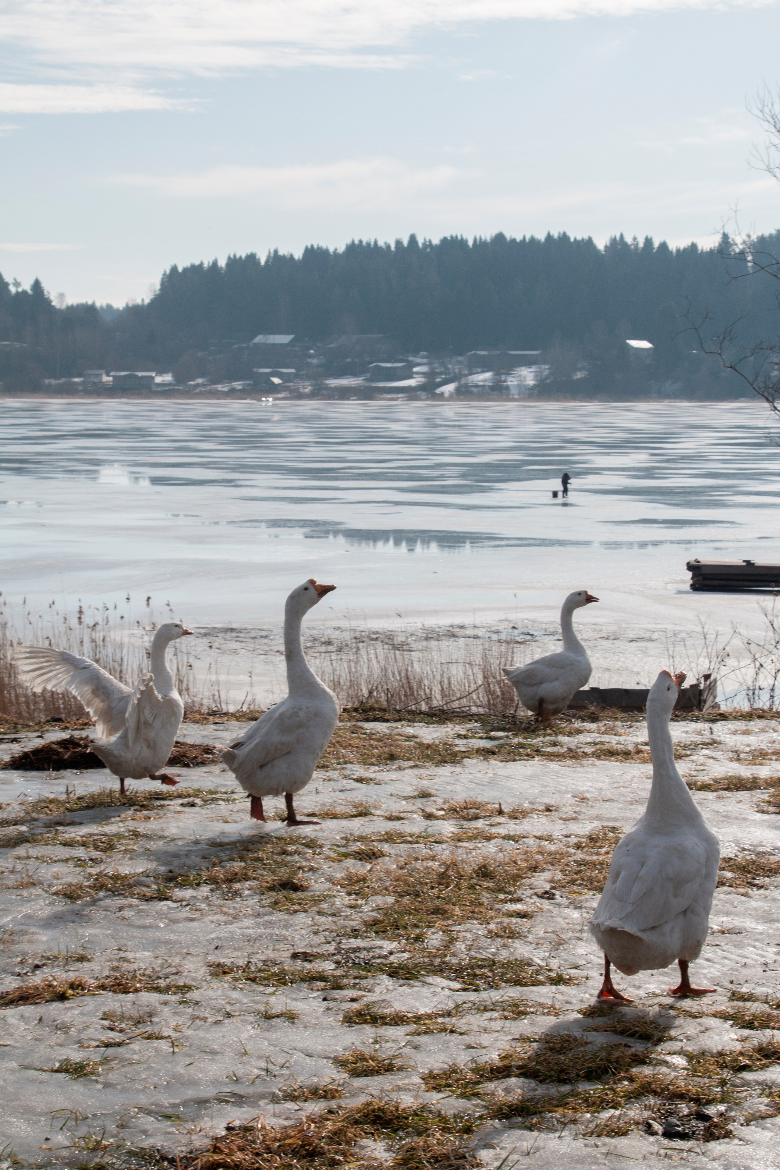 Пейзажи. Фотограф из Санкт-Петербурга — Виктория Горелкова
