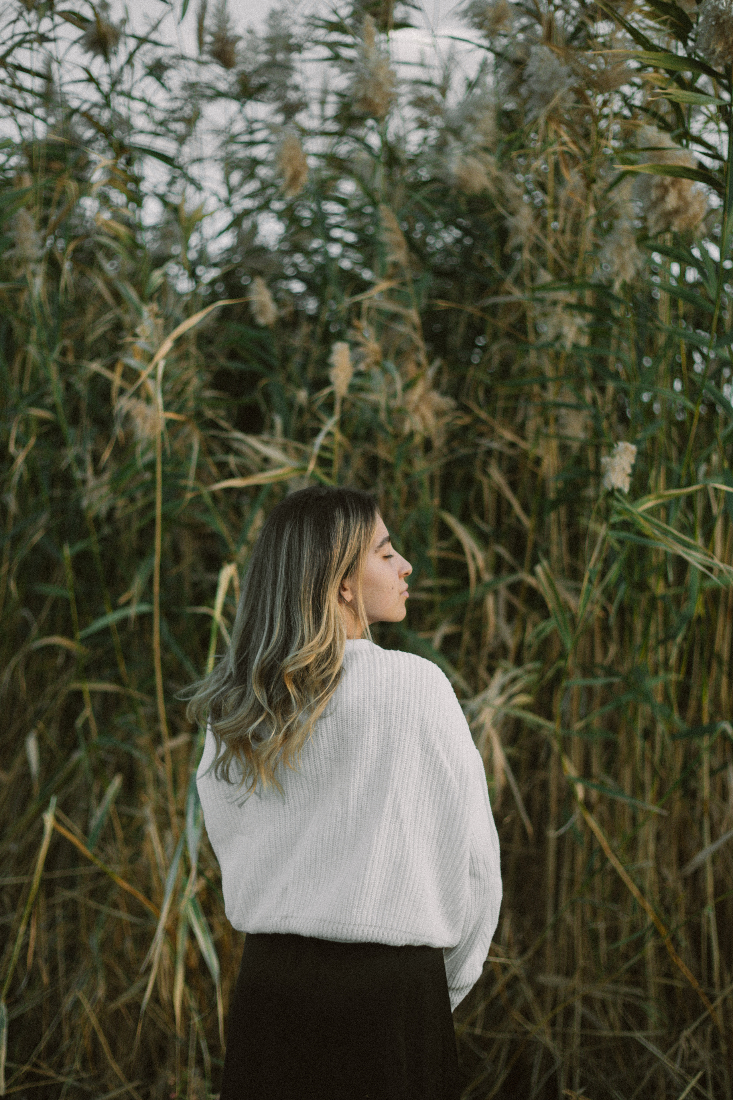 Лара. Главная