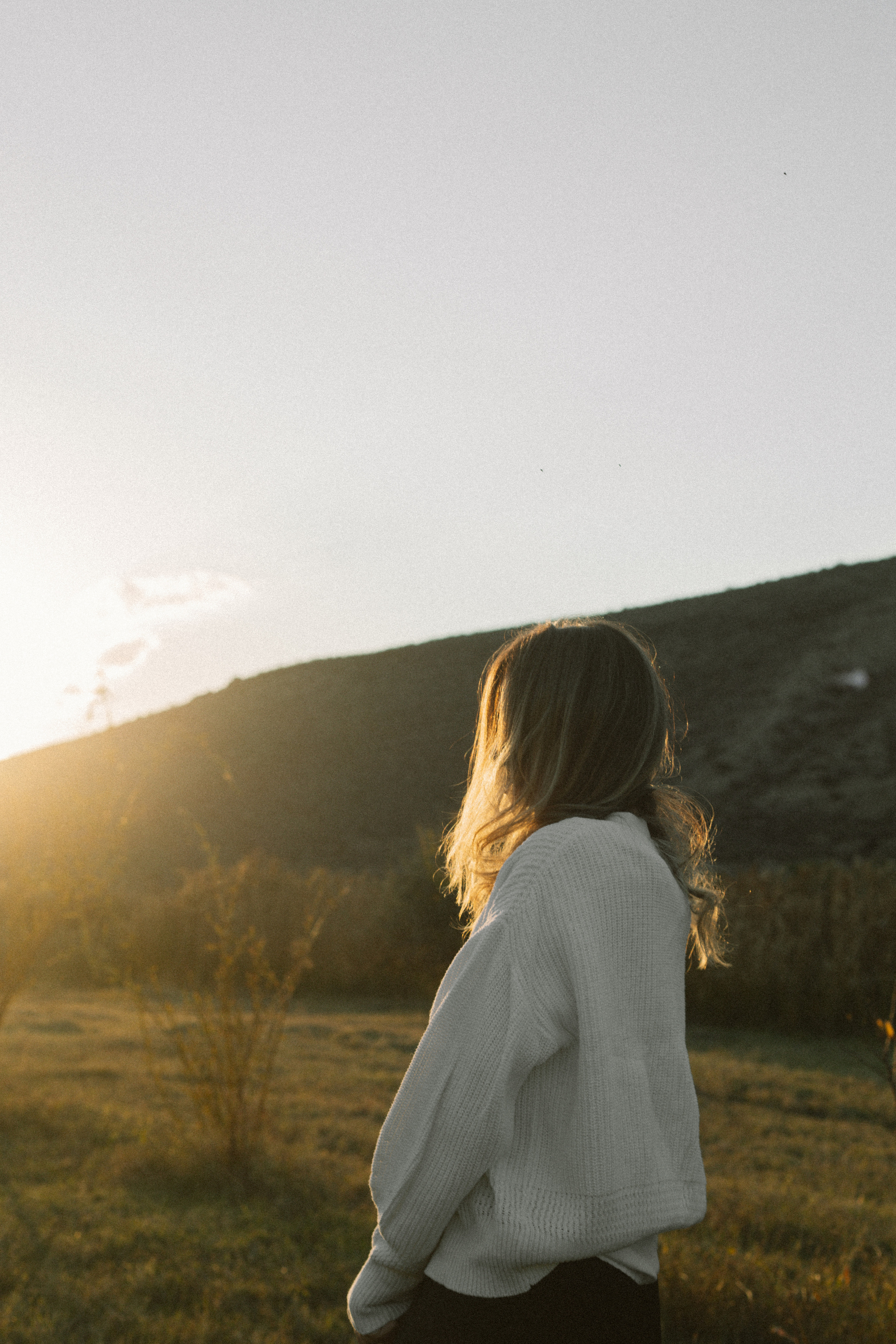 Лара. Главная