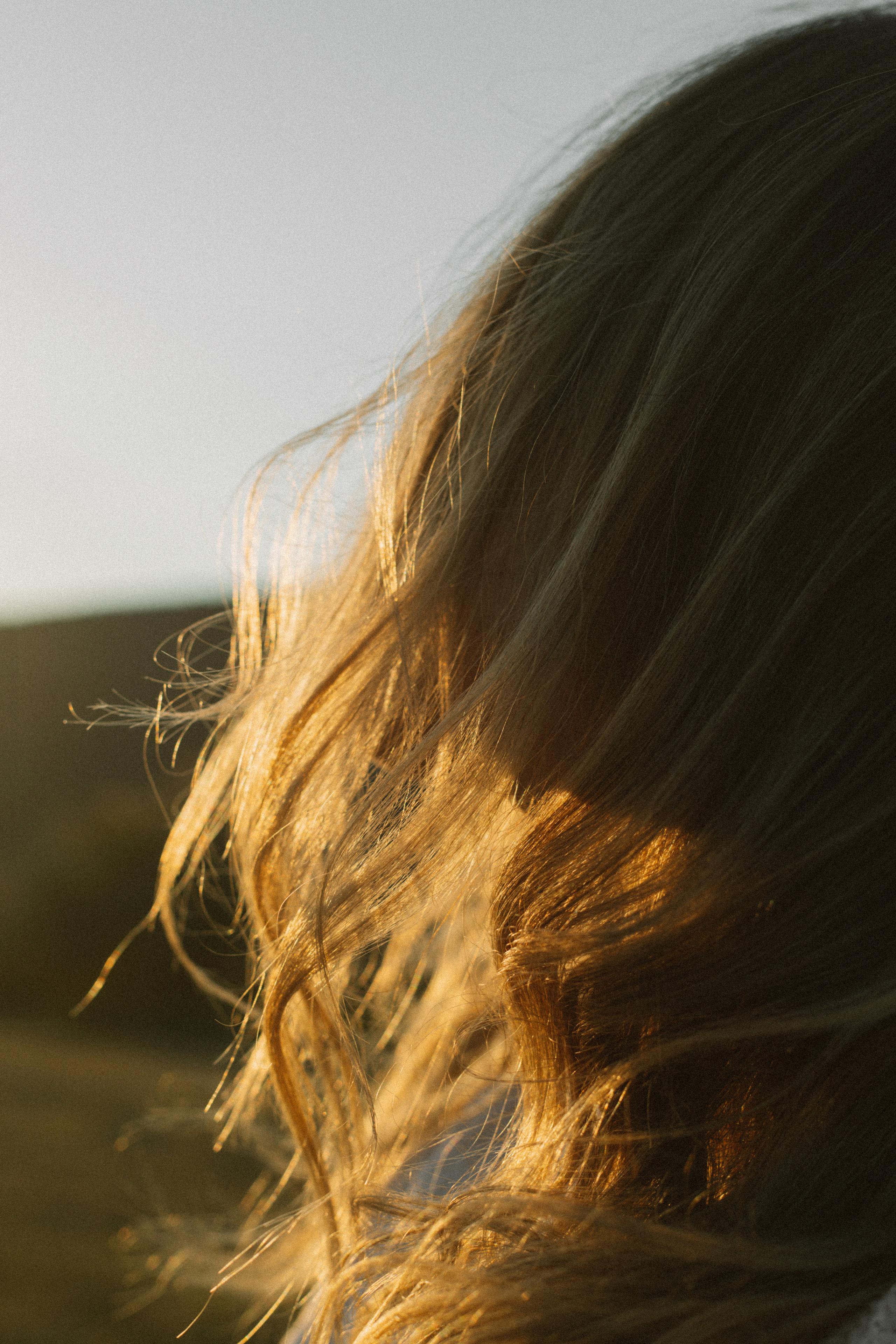 Лара. Главная