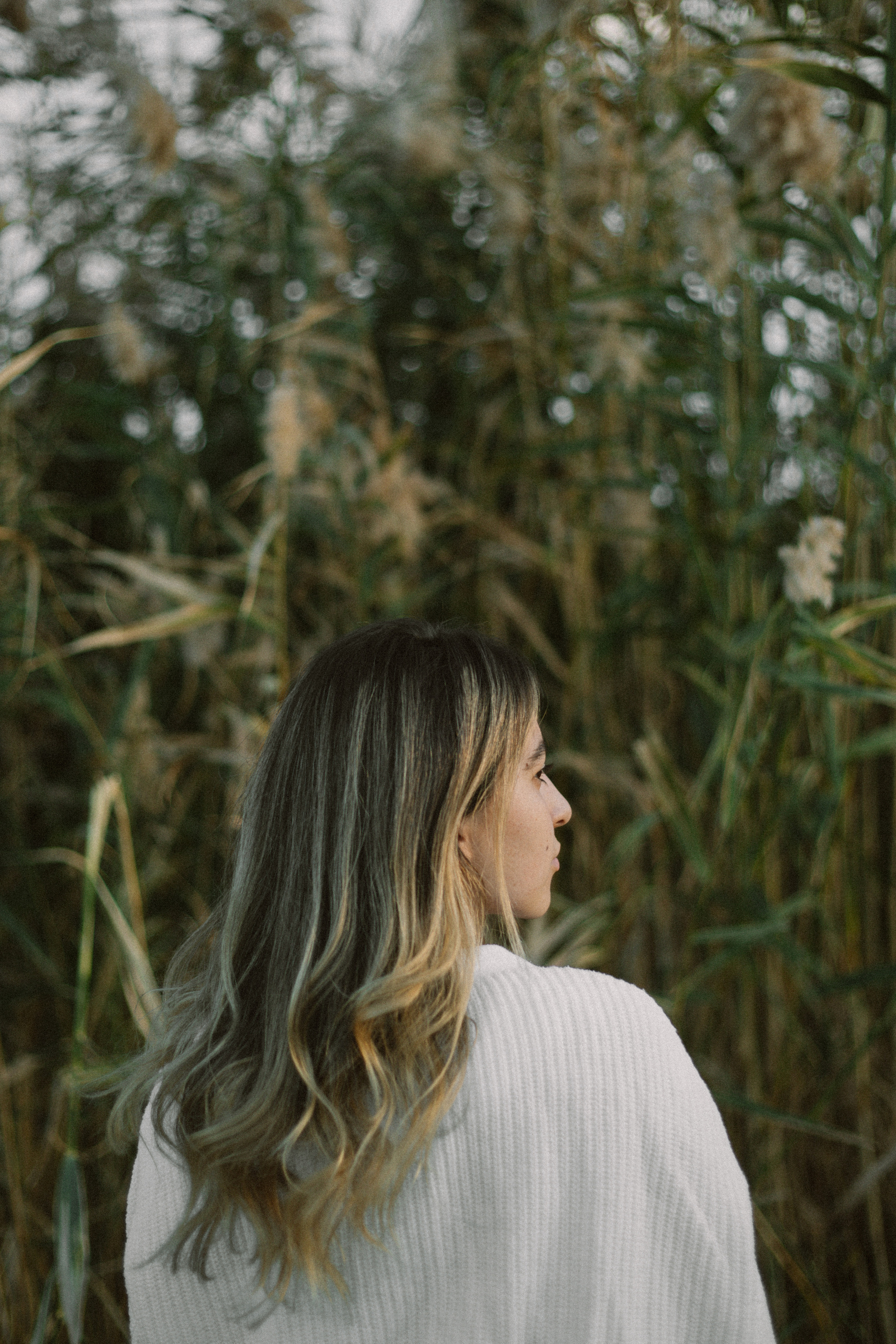 Лара. Главная