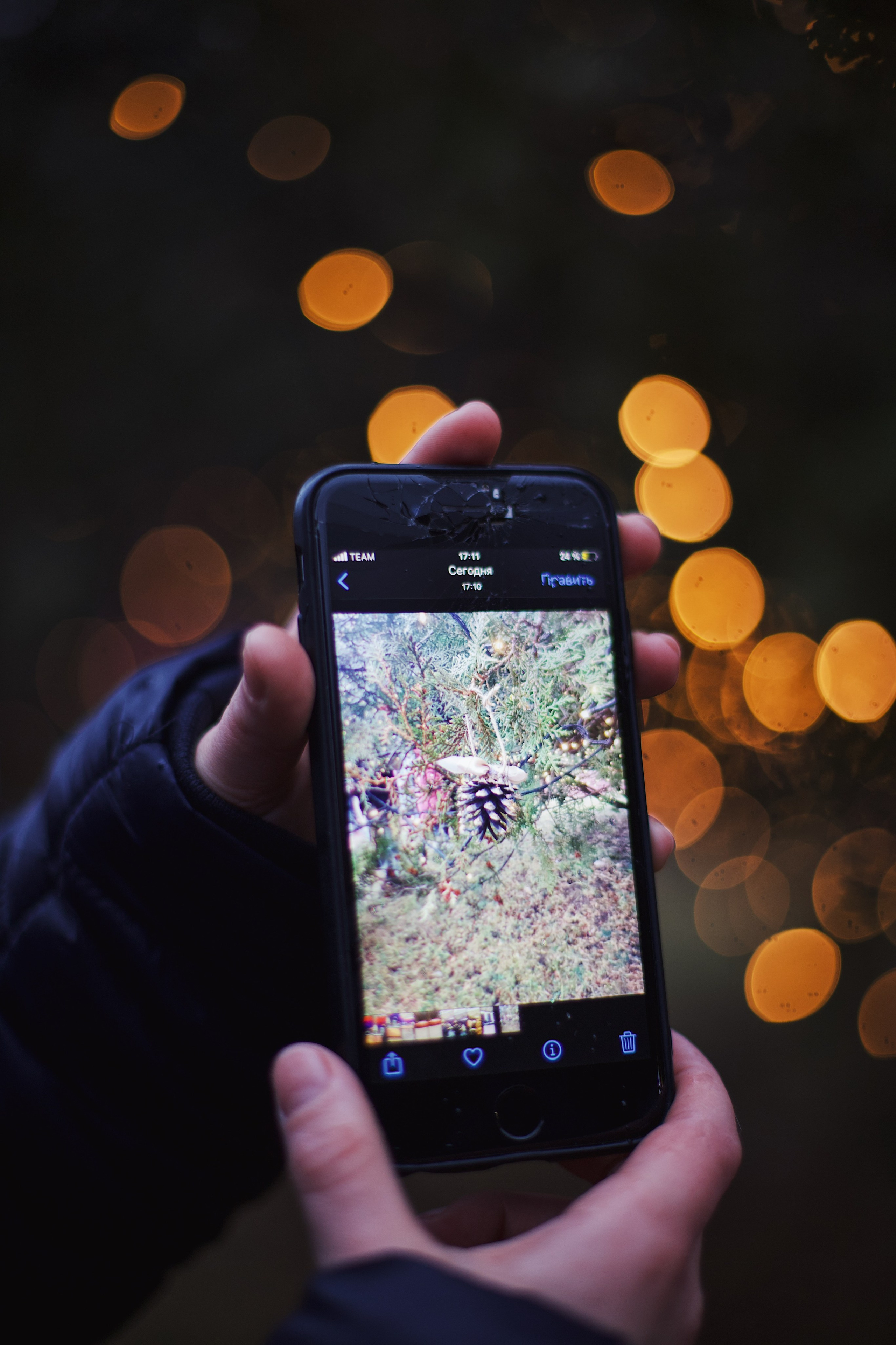 Christmas Tree opening in Dilijan city park. Фотограф в Армении Женя Гилевич
