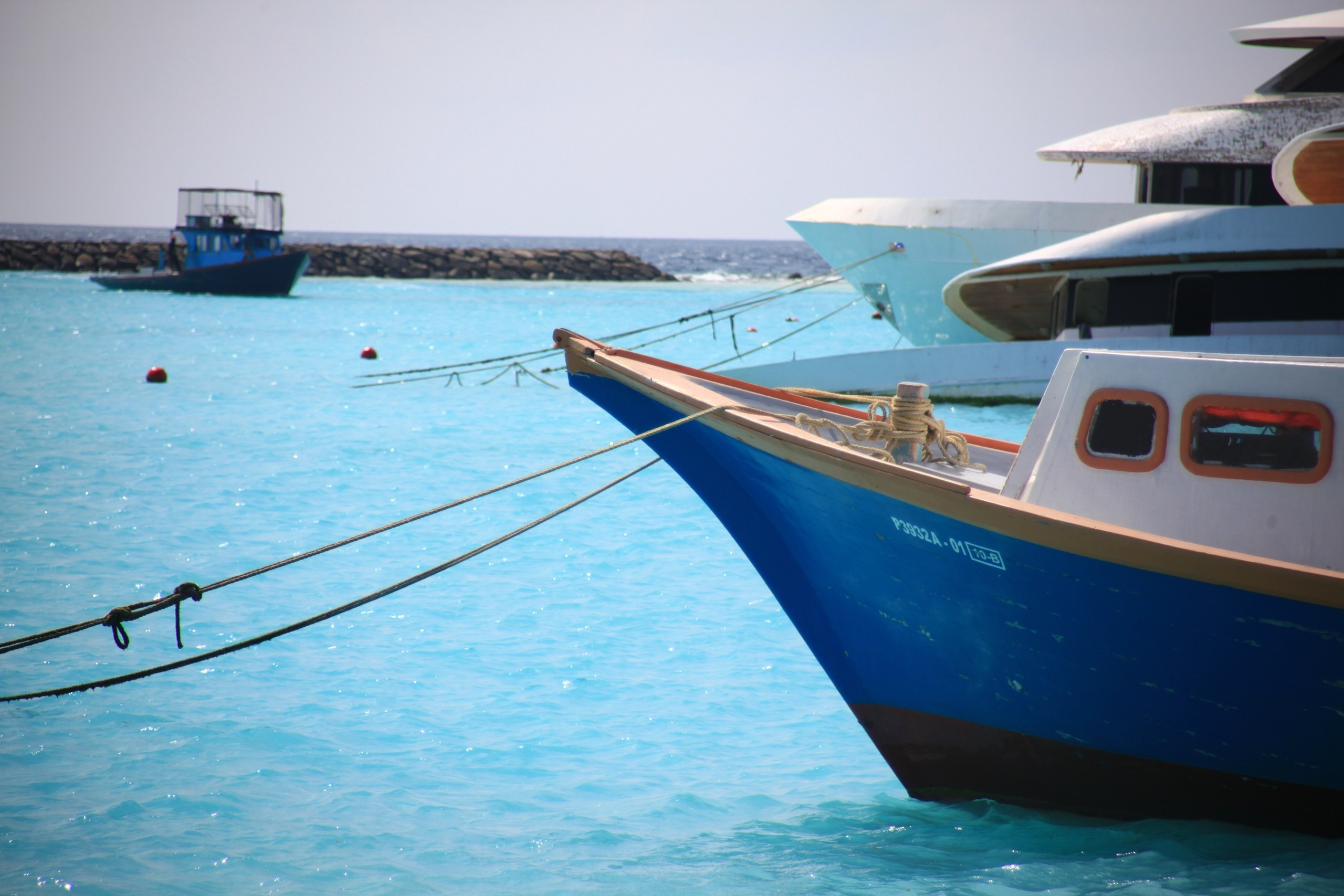Пейзажи. Фотограф Мельник Ирина. Москва