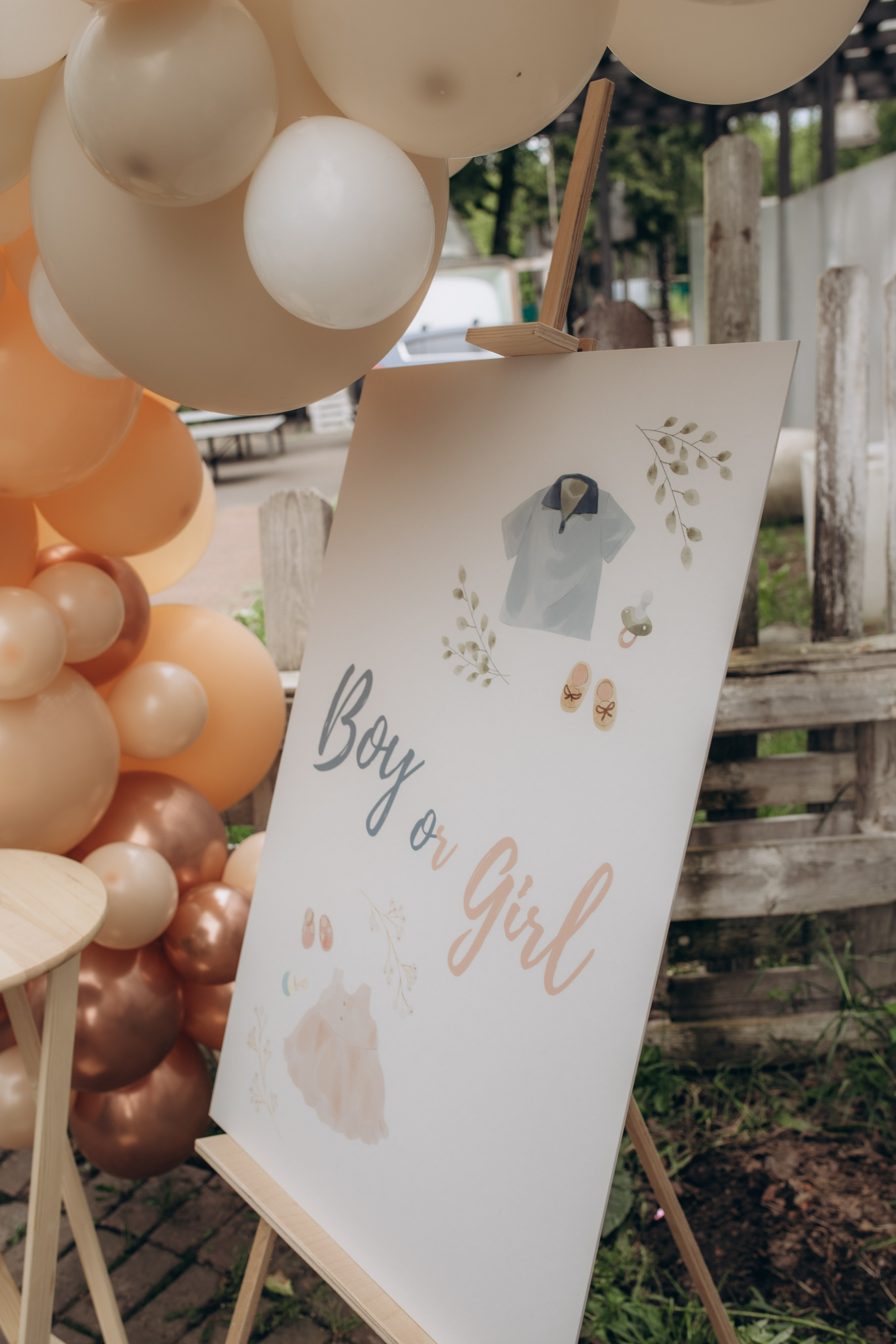 Гендер пати. Семейный и домашний фотограф в Москве и МО Королева Валерия