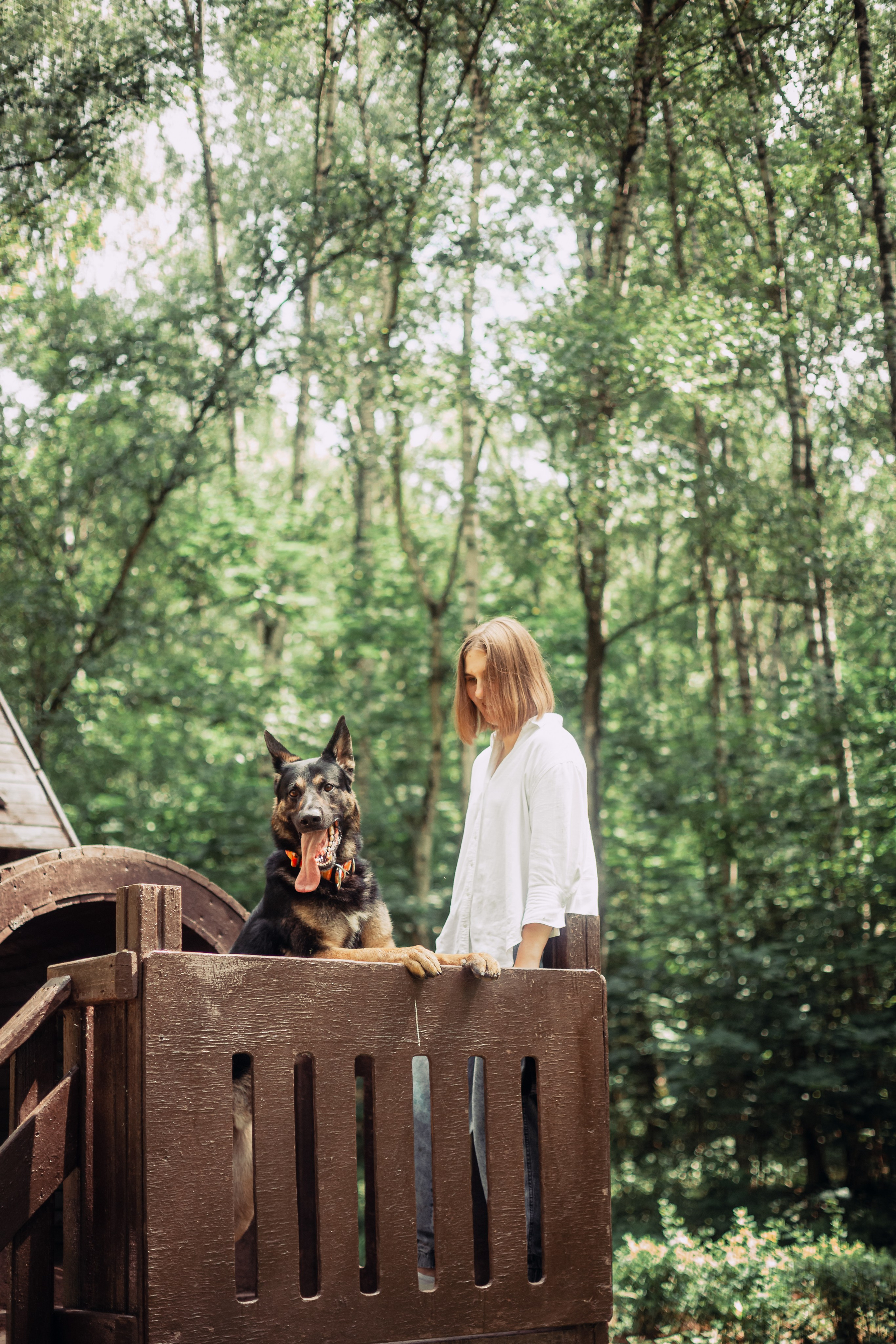 Лесная летняя фотопрогулка. Фотограф-анималист Татьяна Степанова