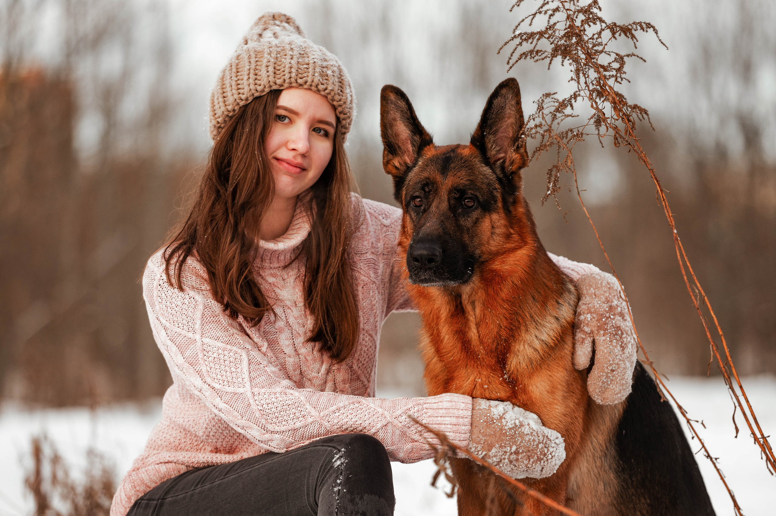 Вольт. Фотограф-анималист