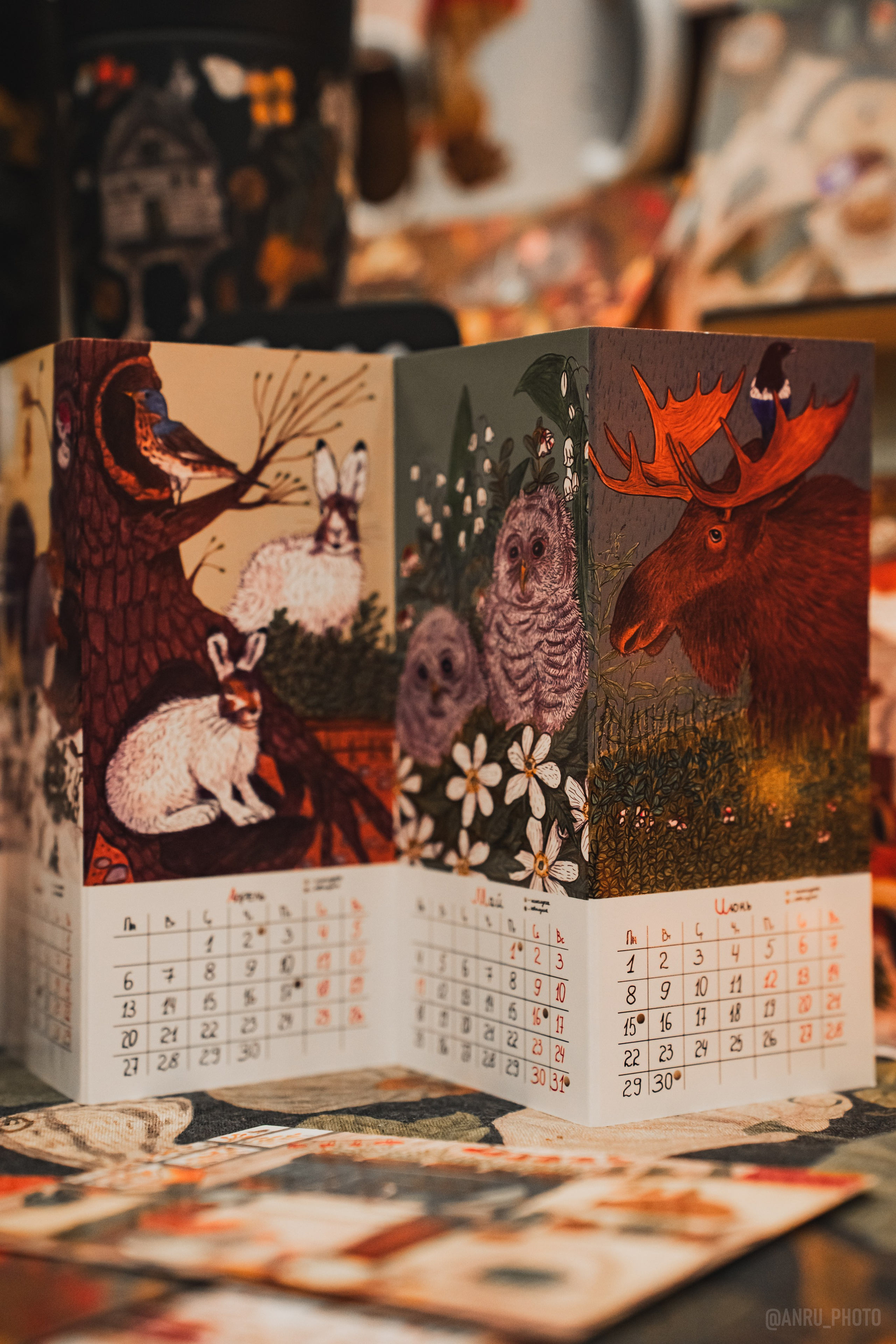 Fox Family fest. Репортажный фотограф Анастасия Рубцова