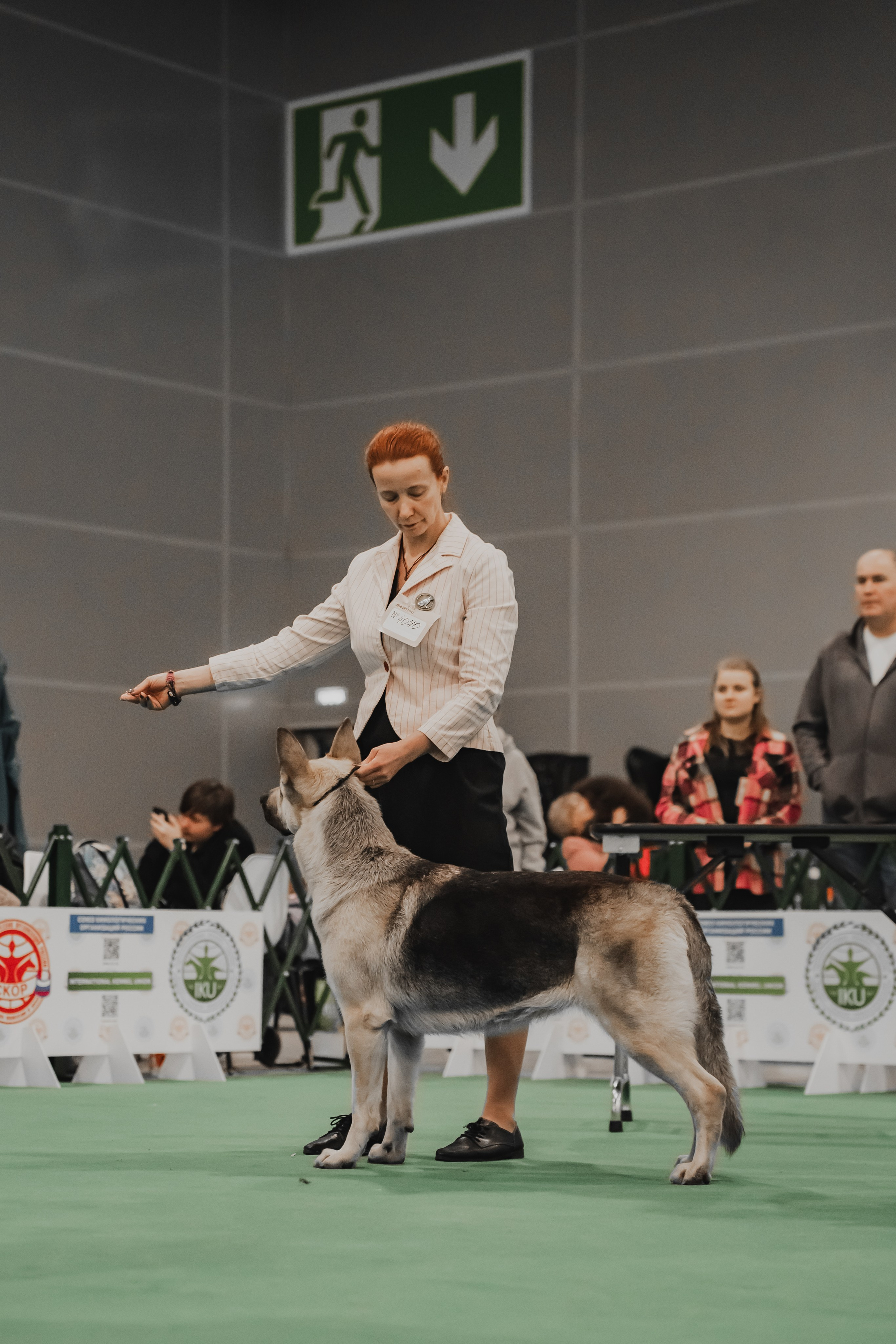 Международная выставка собак всех пород. Репортажный фотограф Анастасия Рубцова