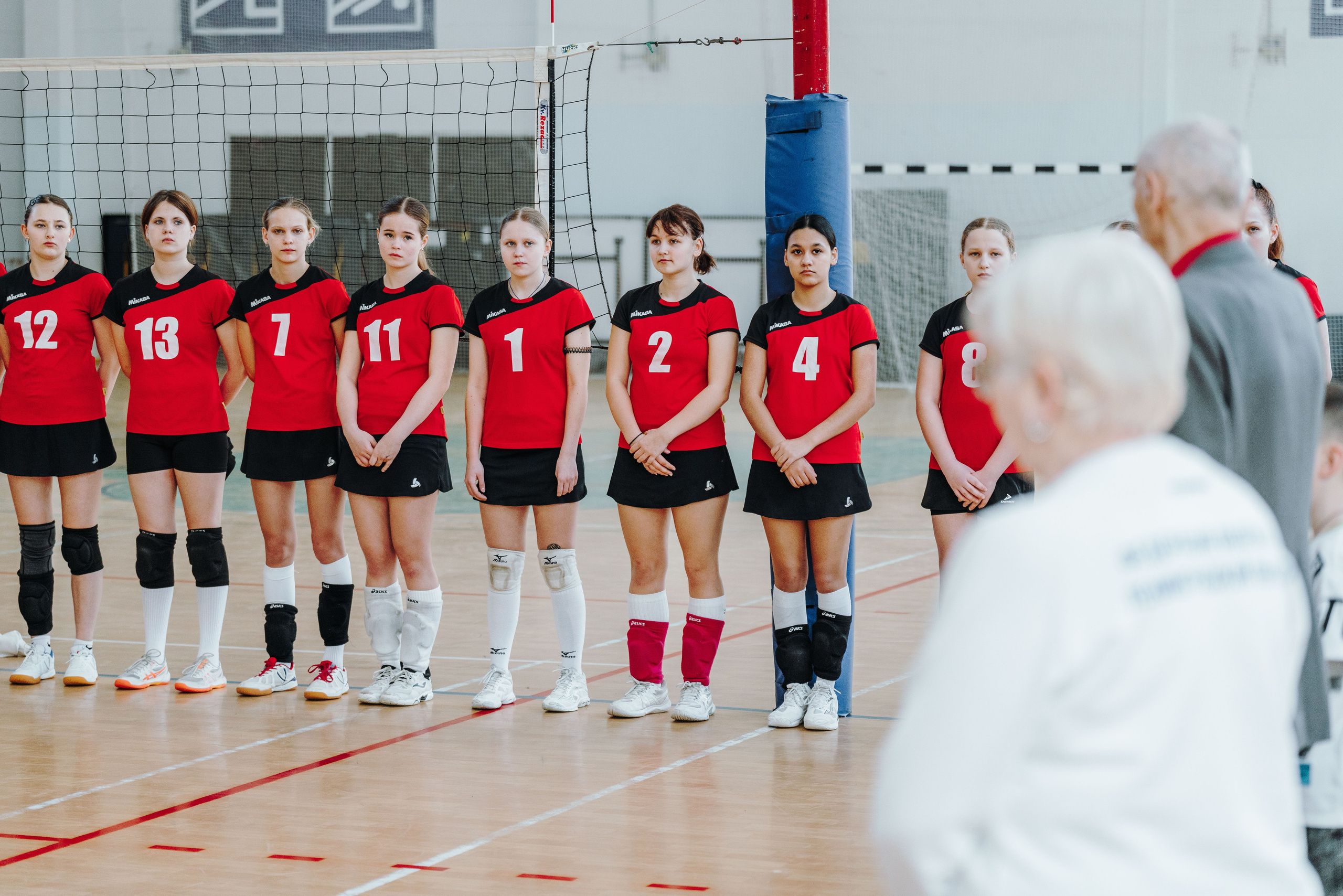 Волейбол торус. Фотограф-анималист в Санкт-Петербурге