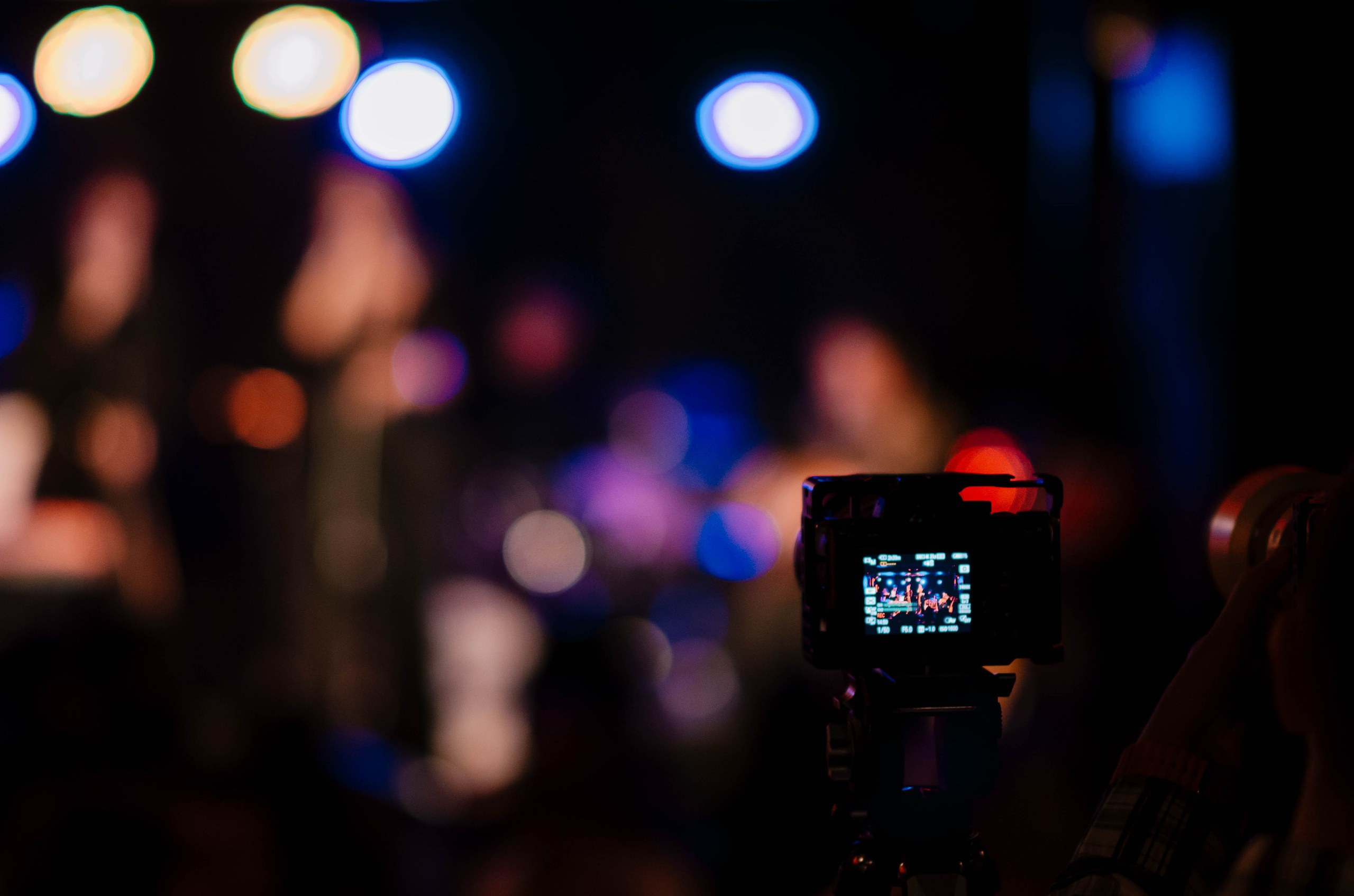 Сигнон. Фотограф Валерия Пэун