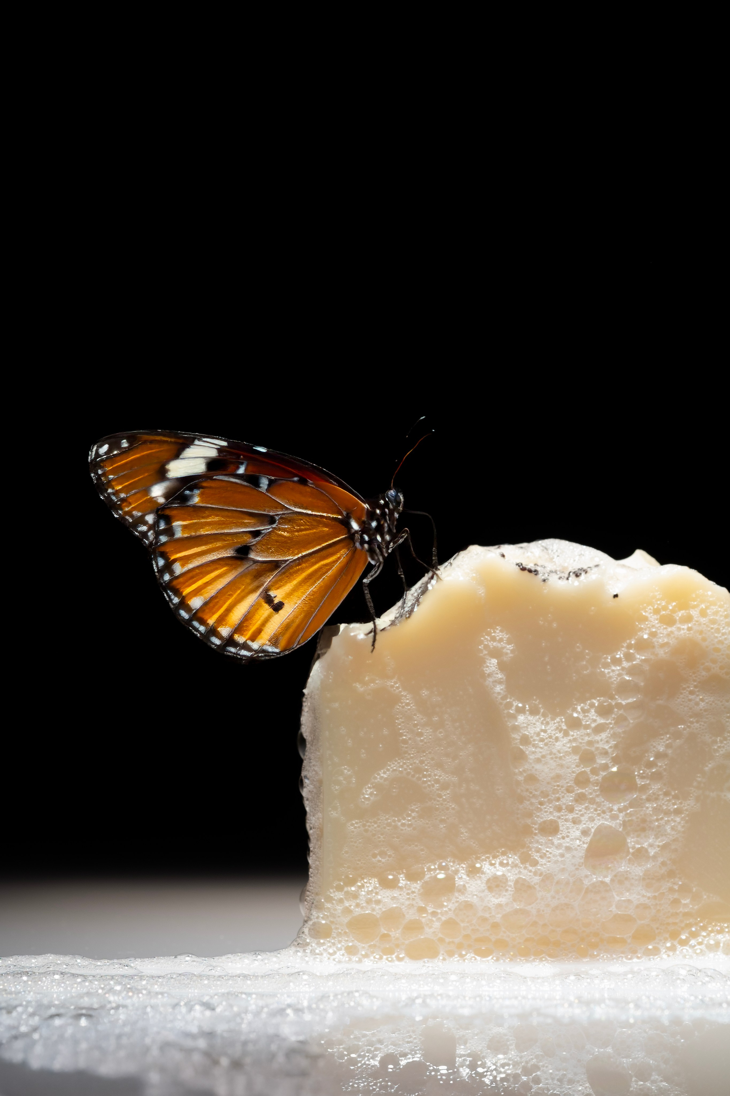 Предметный фотограф в Краснодаре