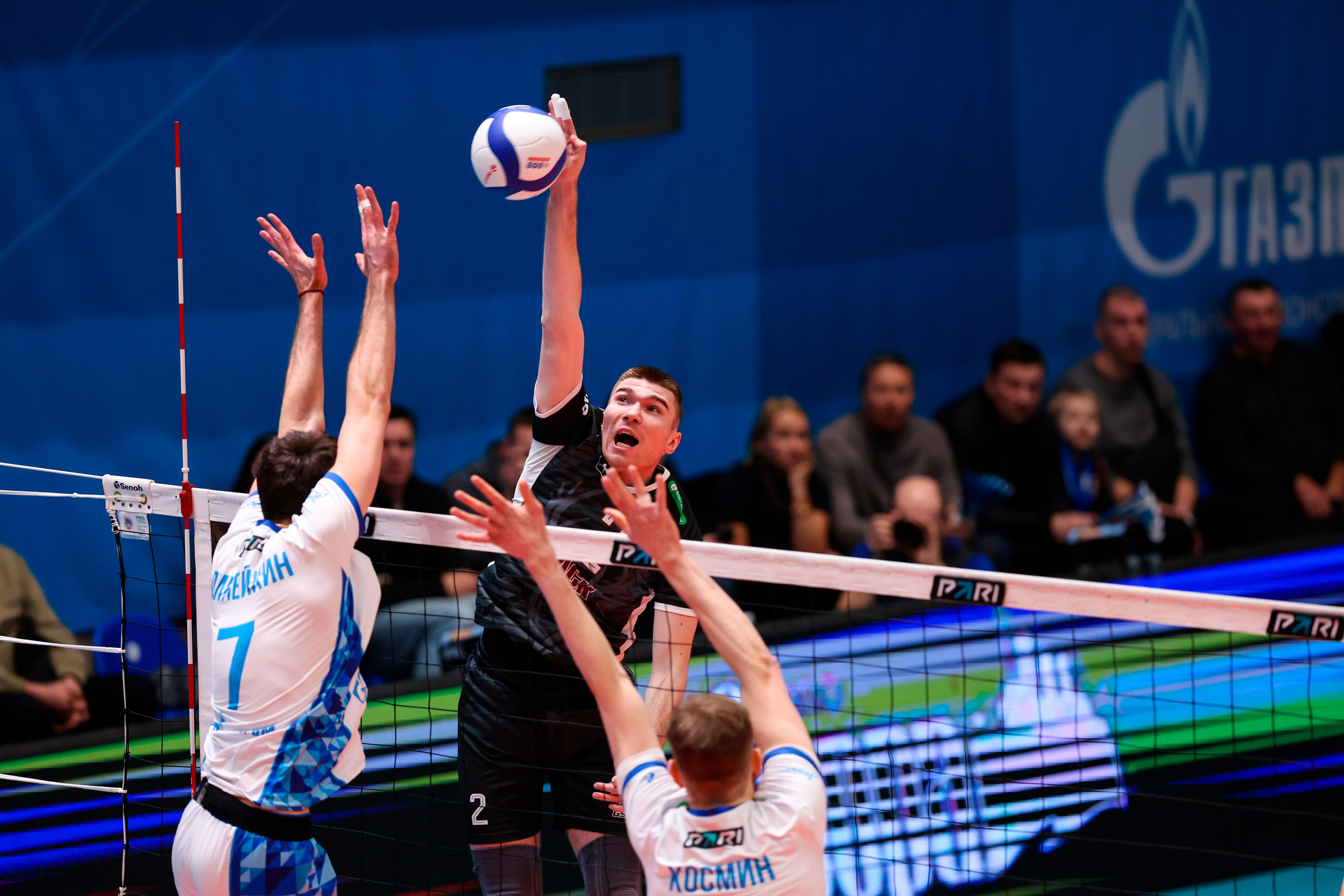 ВК Зенит — ВК АСК 15.03.2025. Спортивный и репортажный фотограф Антон Тереханов