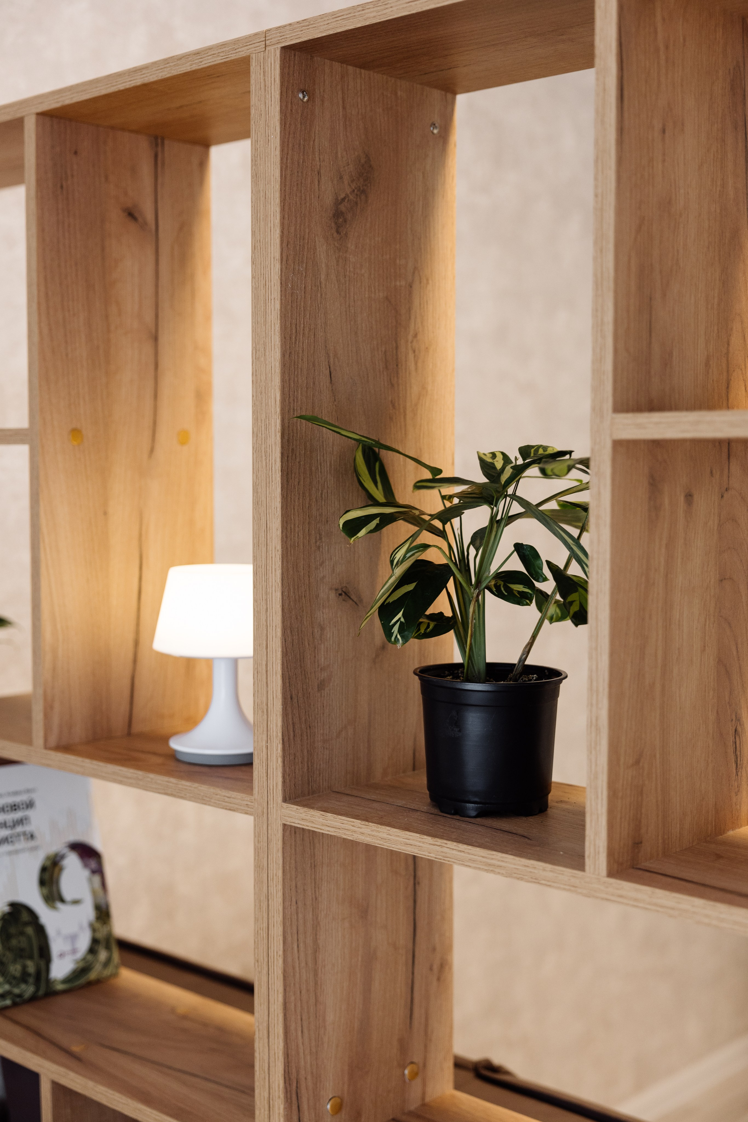 Недвижимость. Майорова Валерия Фотограф Ставрополь