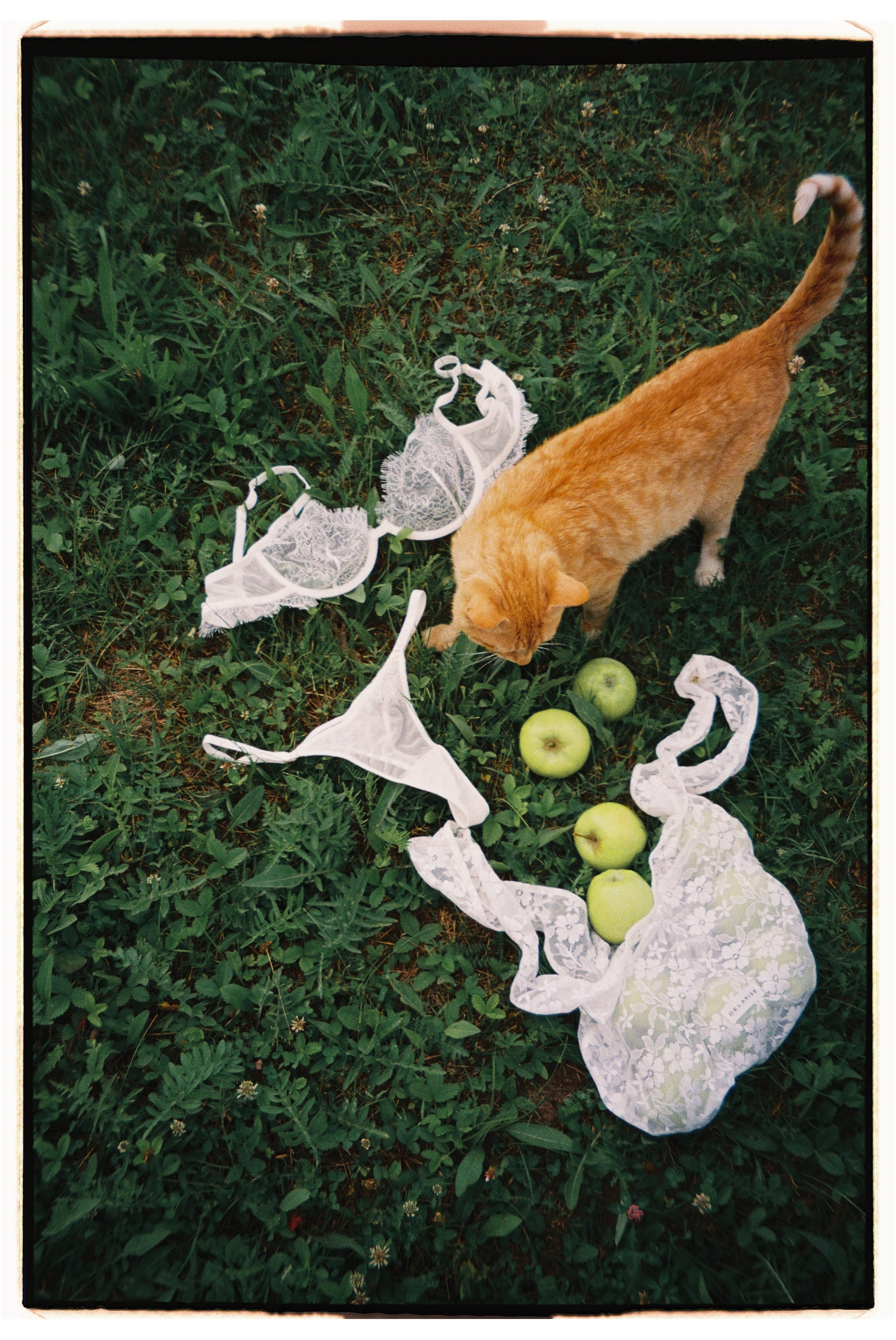 FILM FOR DELARISE | SUMMER CAMPAIGN. Главная