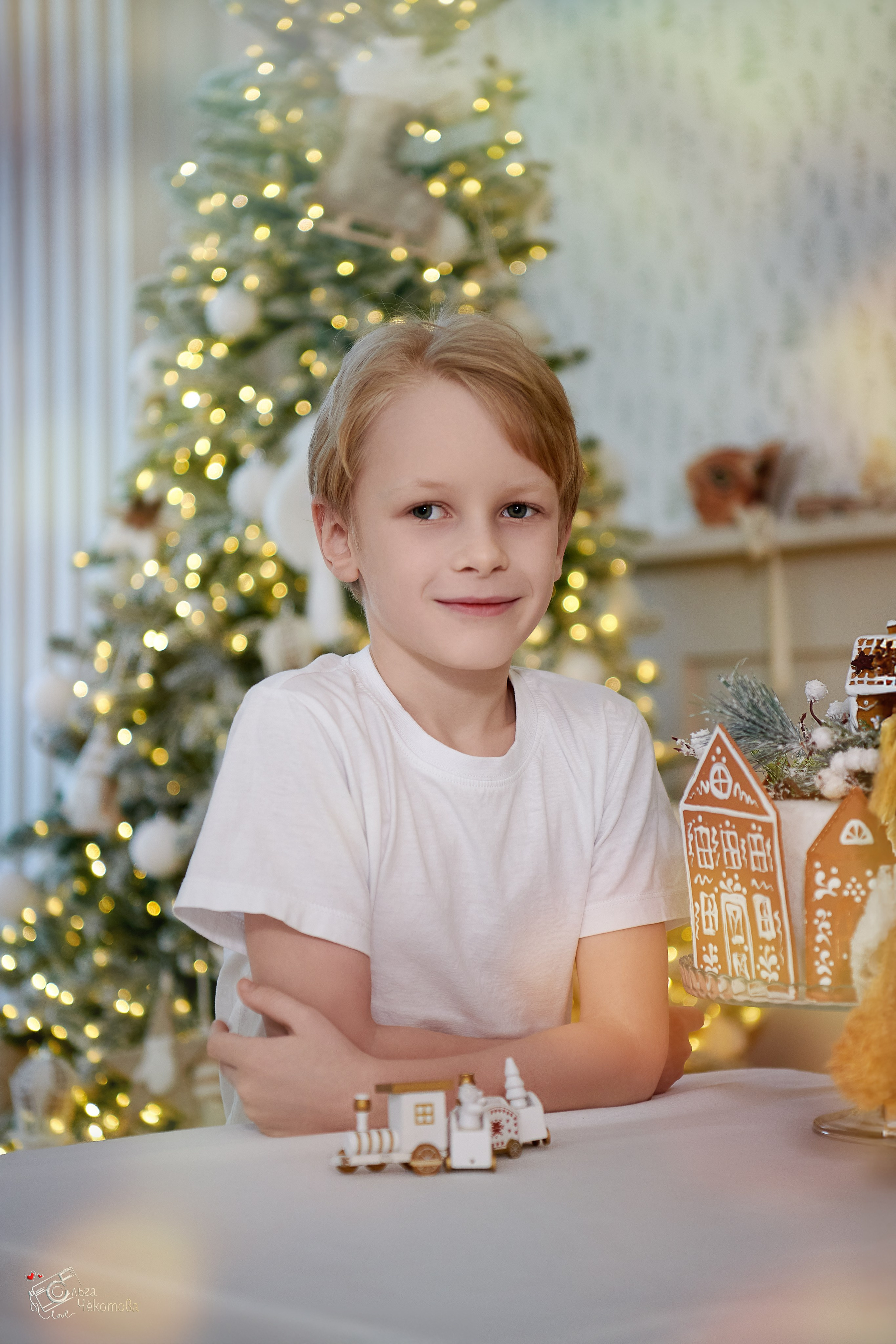 Новогодняя сказка для Алисы. Ольга Чёкотова (Фотограф Кострома)