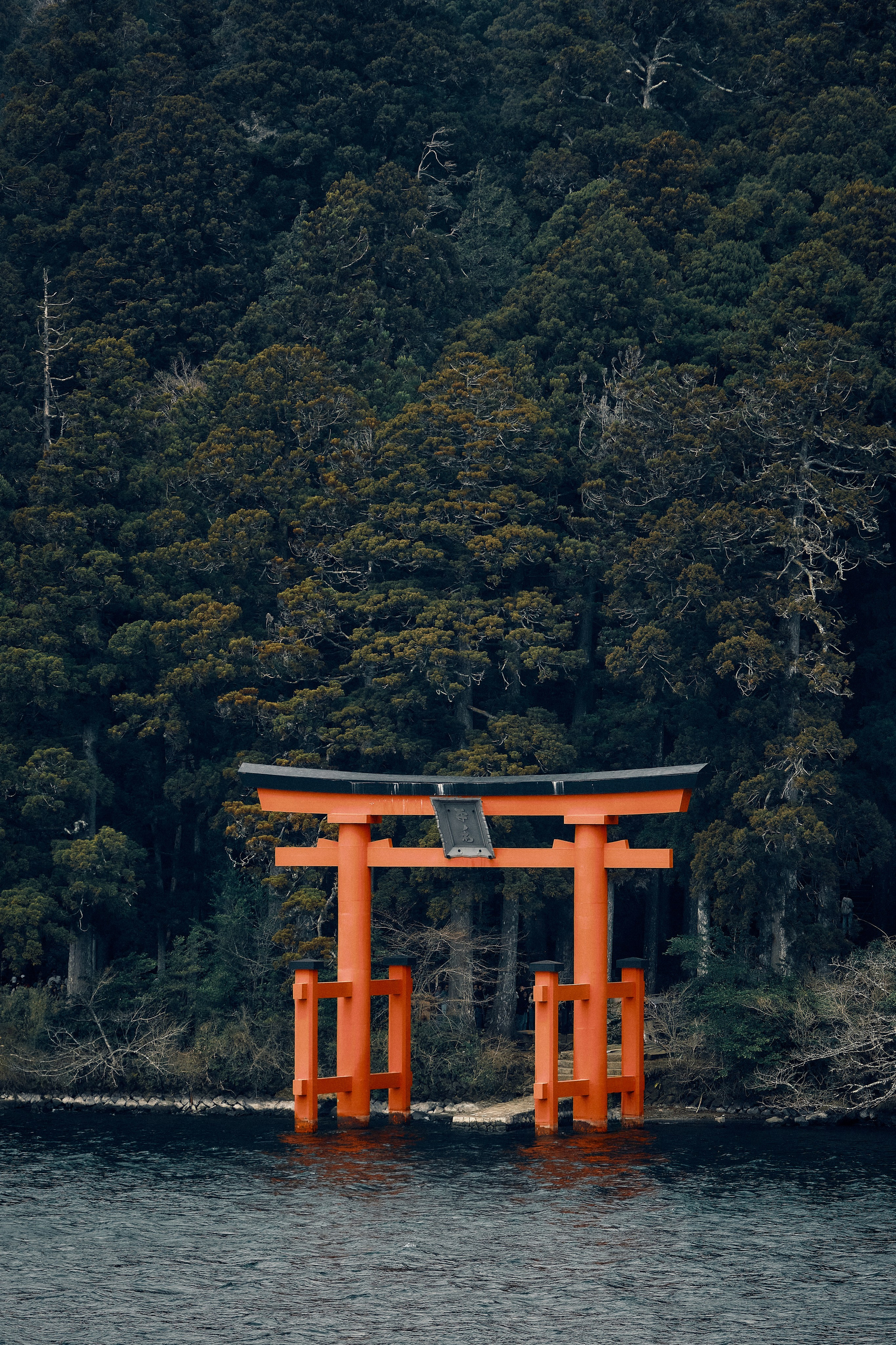 Japan / Osaka≫Kyoto≫Tokyo. Aleksandr Kobtsev