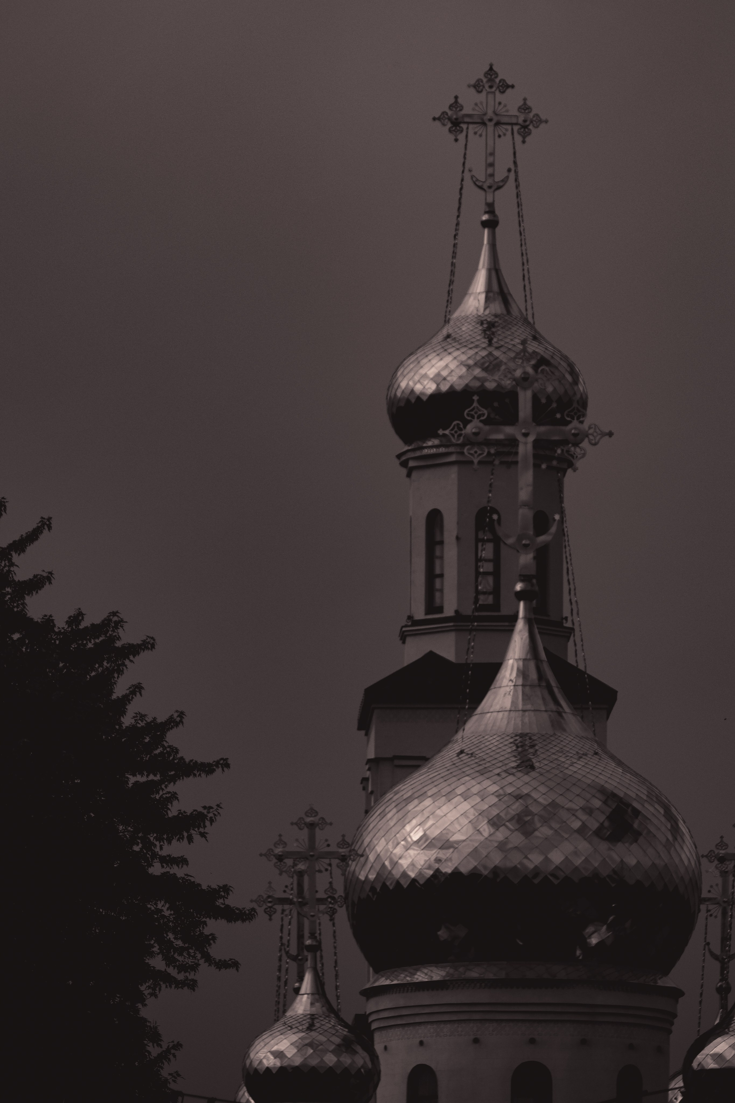 С Е П И Я. — Digital Noise —