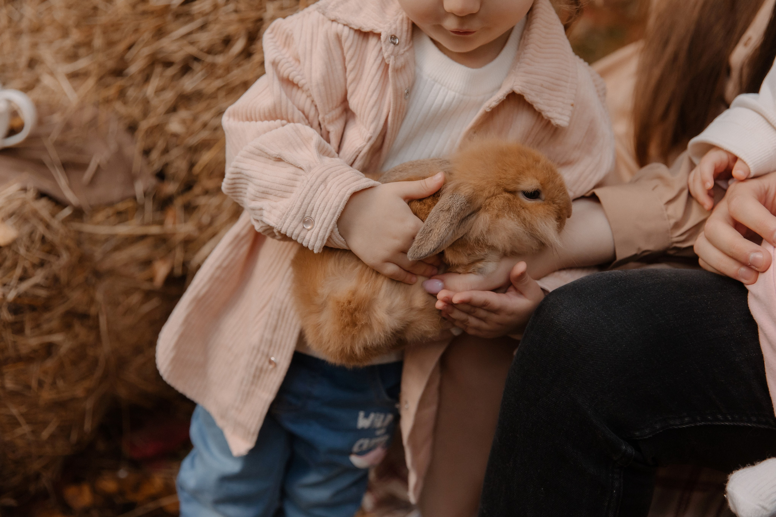 Съемка с кроликами. Семейный и свадебный фотограф в Москве и Зеленограде Пилипенко Юлия