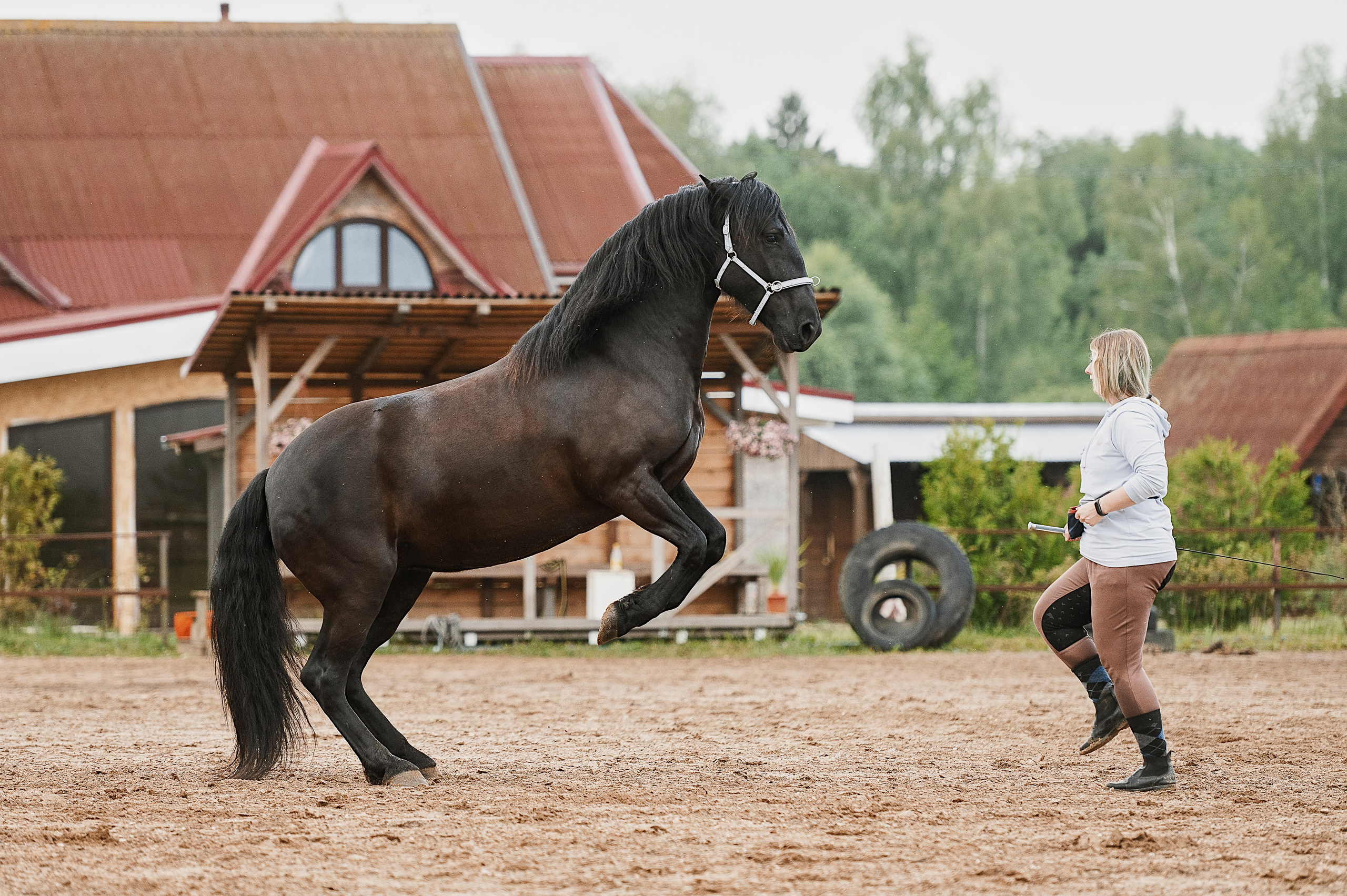 Мара. Фотограф-анималист