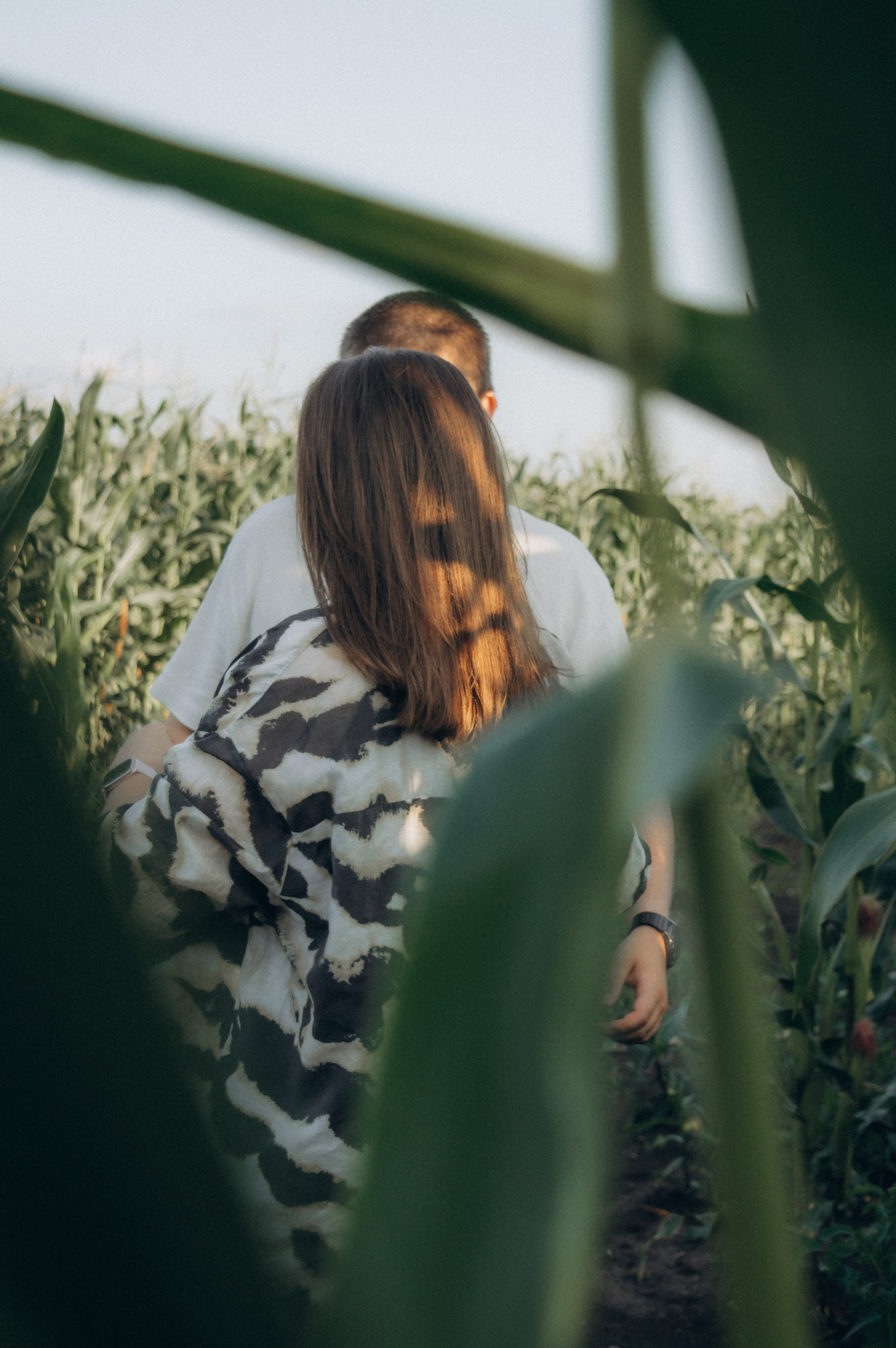 Лето, семья, кукуруза. Семейная летняя фотосессия. Юлия Левада Семейный и женский фотограф