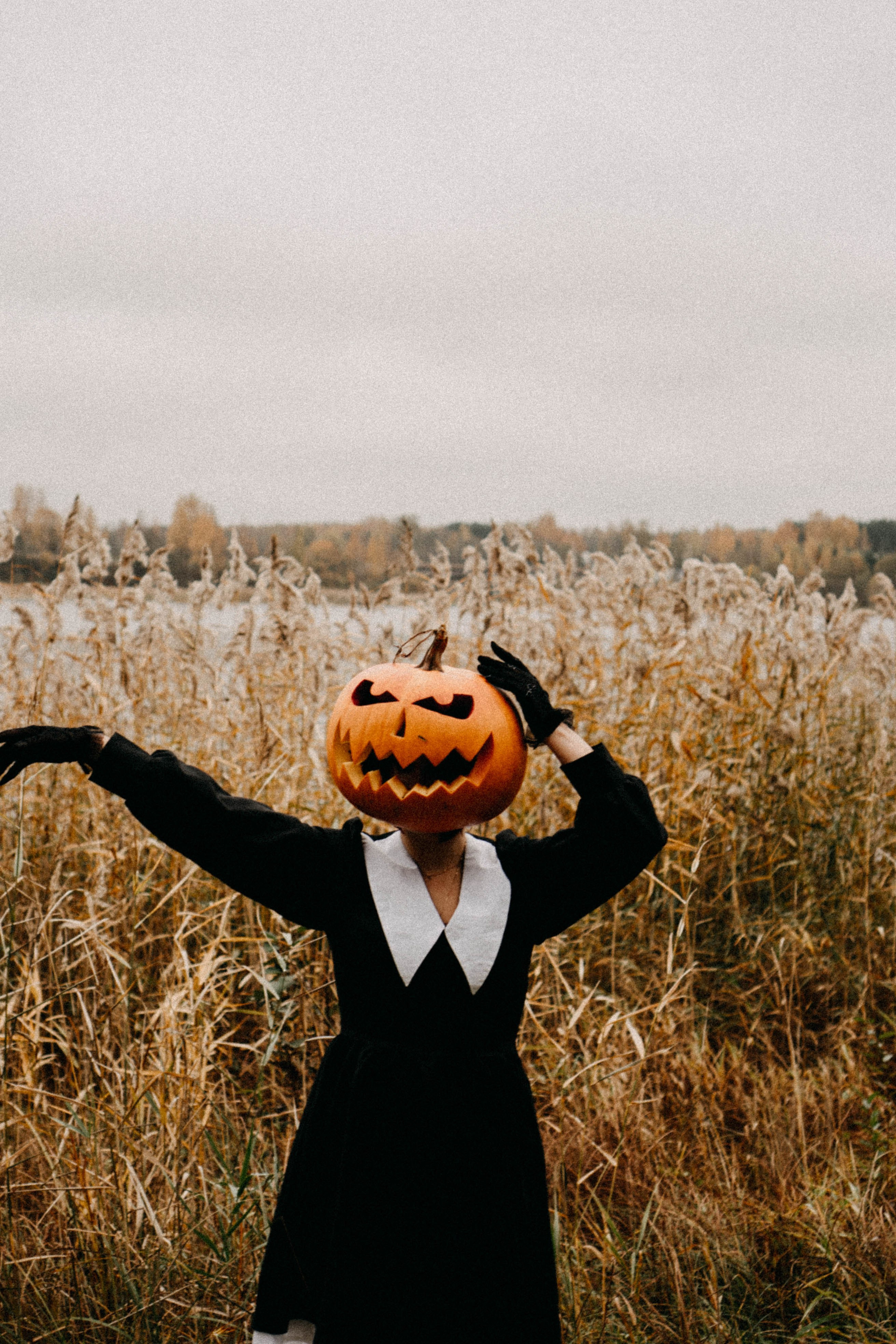 Осеняя. Профессиональный фотограф, Санкт-Петербург — Виктория Богомолова