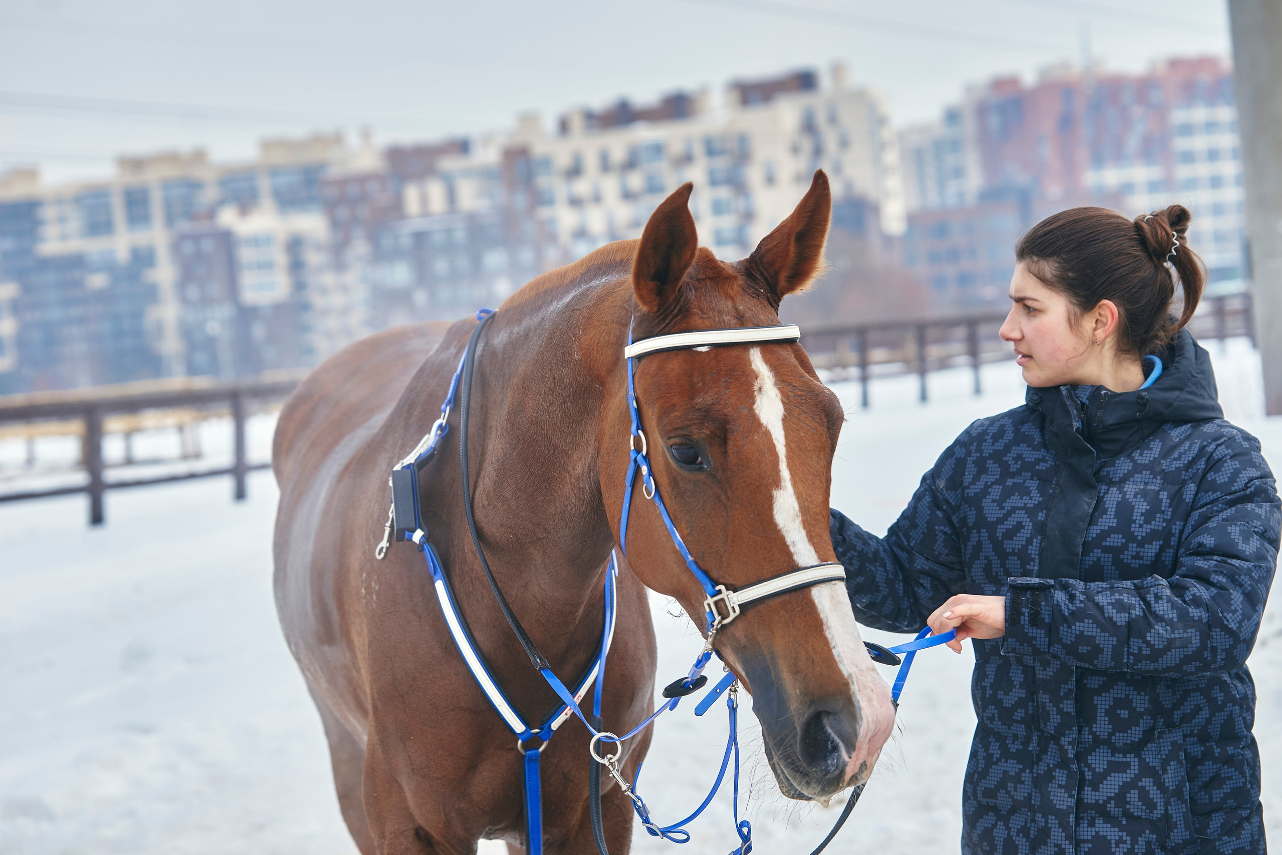 HORSE RACING. Фотограф Наталья Леонова