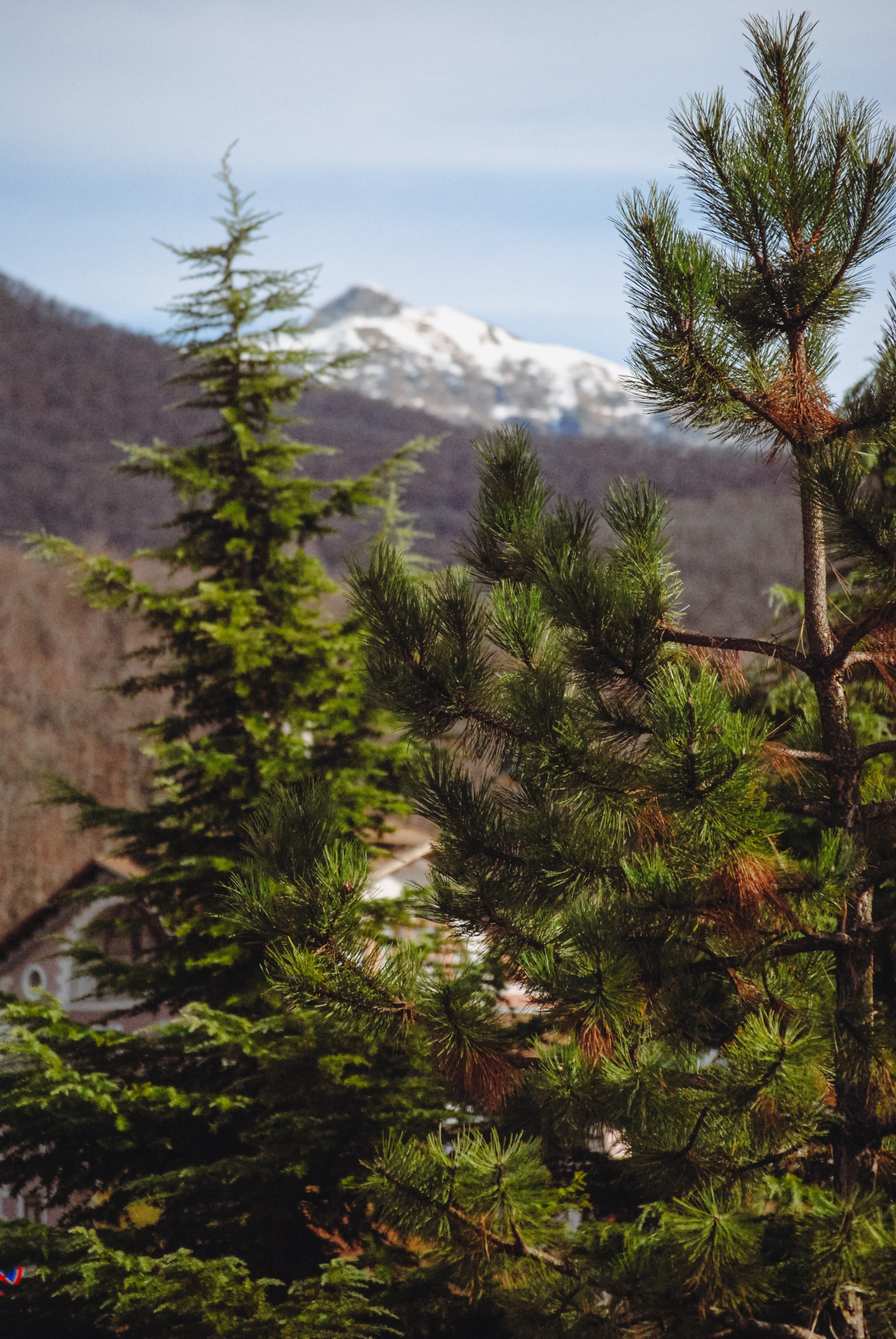Пейзажная Фотопрогулка. Индивидуальная и Семейная Фотосъёмка для каждого