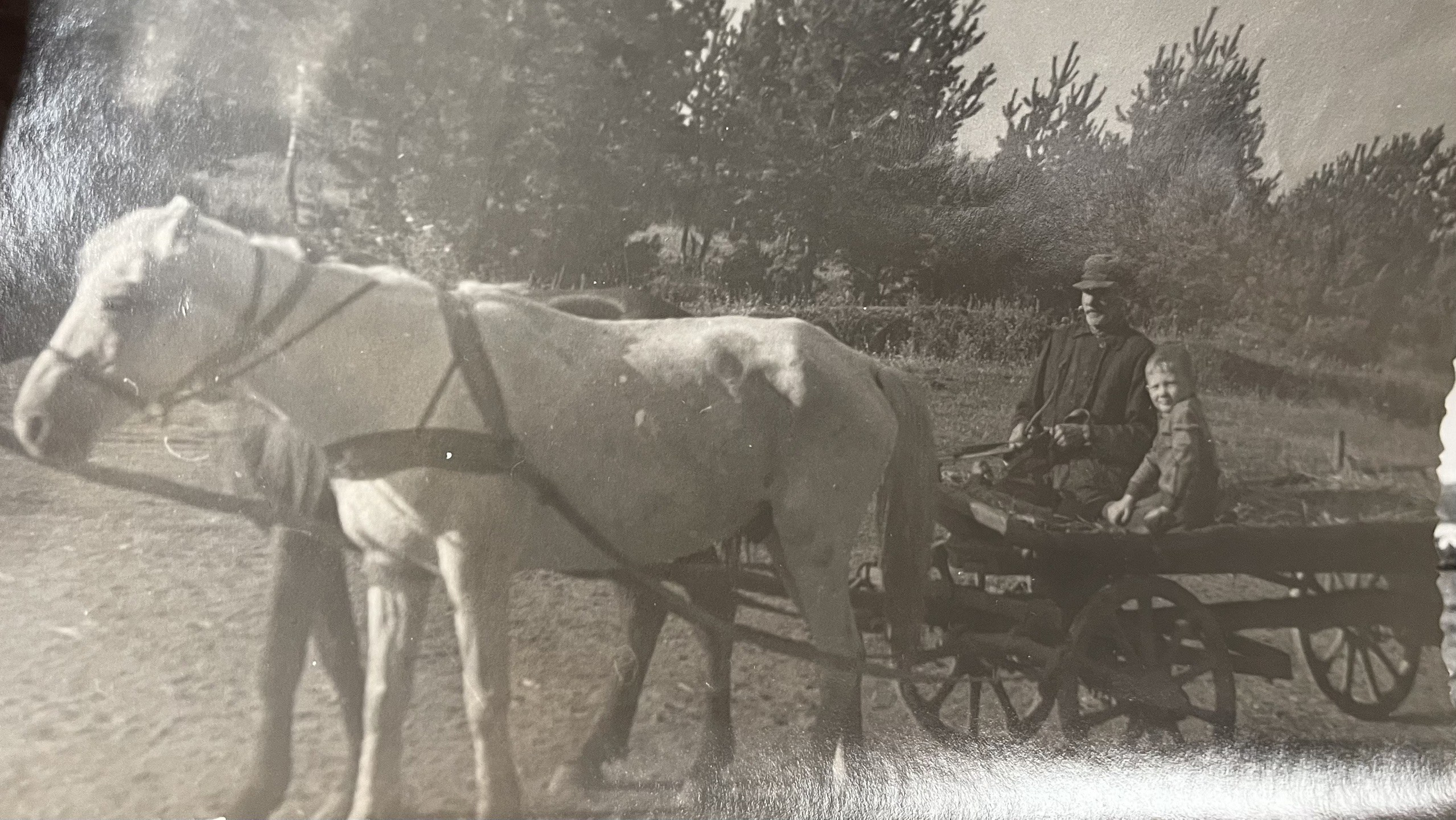Мусихин Михаил Аркадьевич — сайт памяти о добром и светлом человеке
