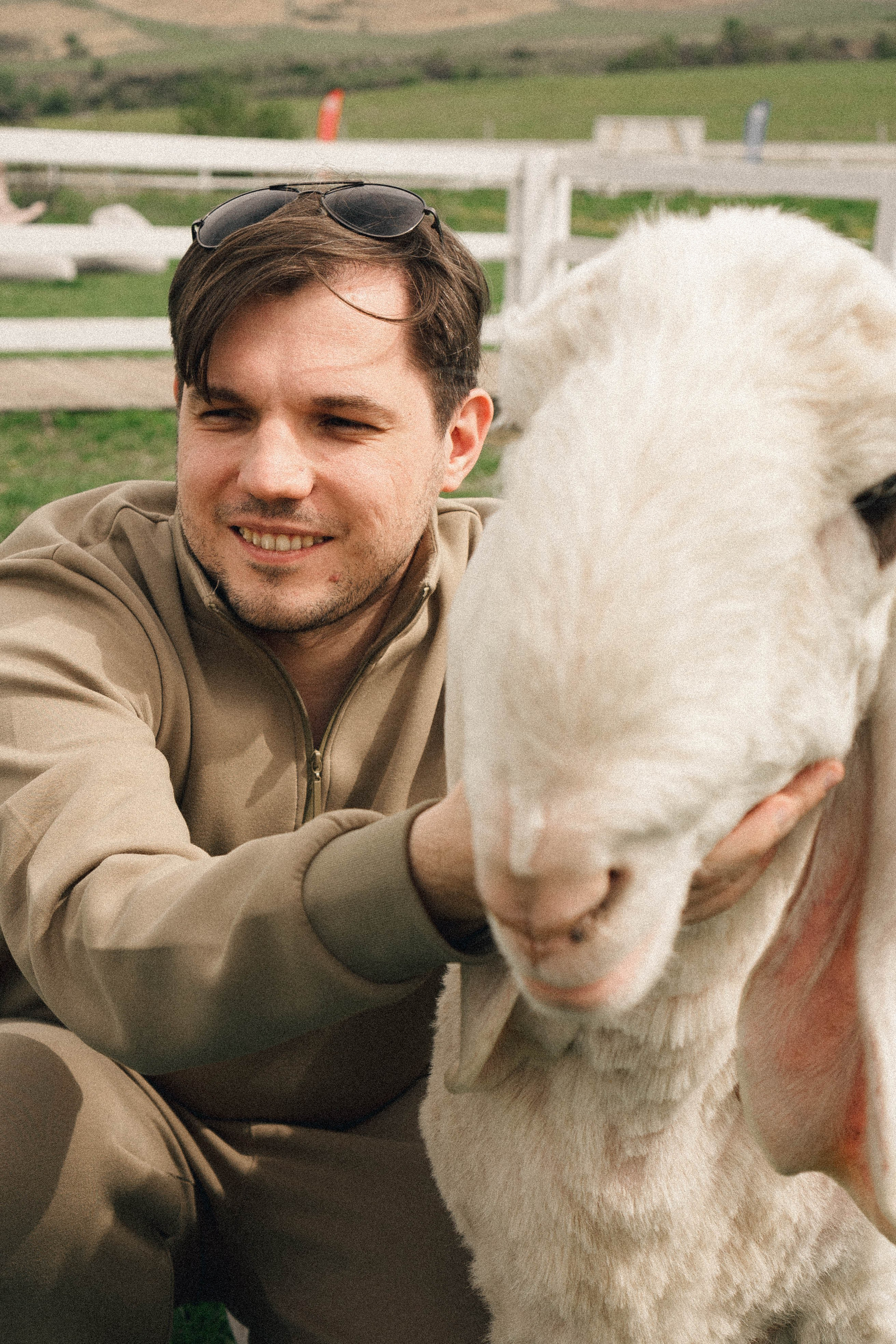 Ферма Альпак. Профессиональный фотограф, Санкт-Петербург — Виктория Богомолова