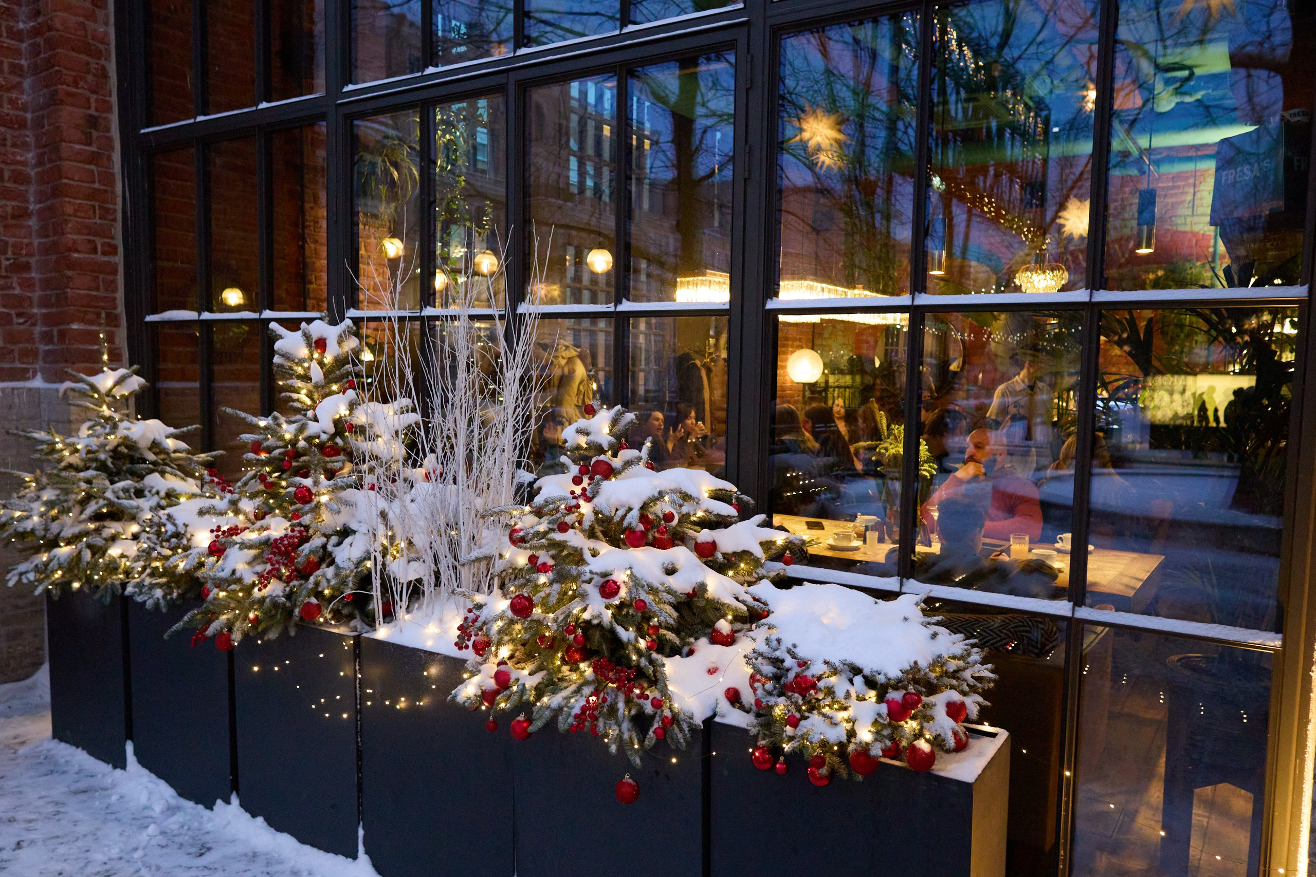Рождество въ Санктъ-Петербургѣ. Фотографъ Сергѣевъ. Поймать мгновеніе