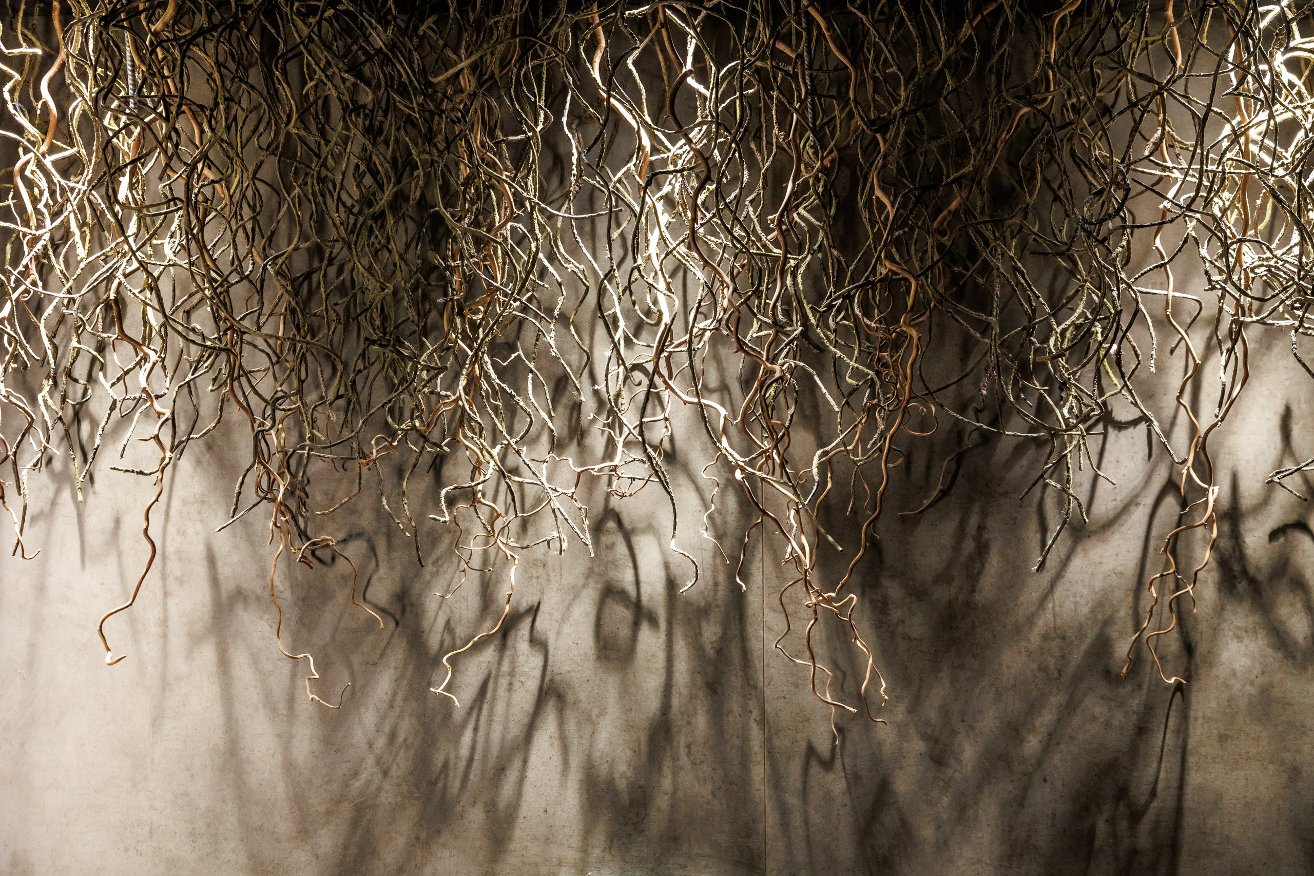 Интерьеры и выставки. Фотограф Сергей Лукьянов @xapeton_photo Москва