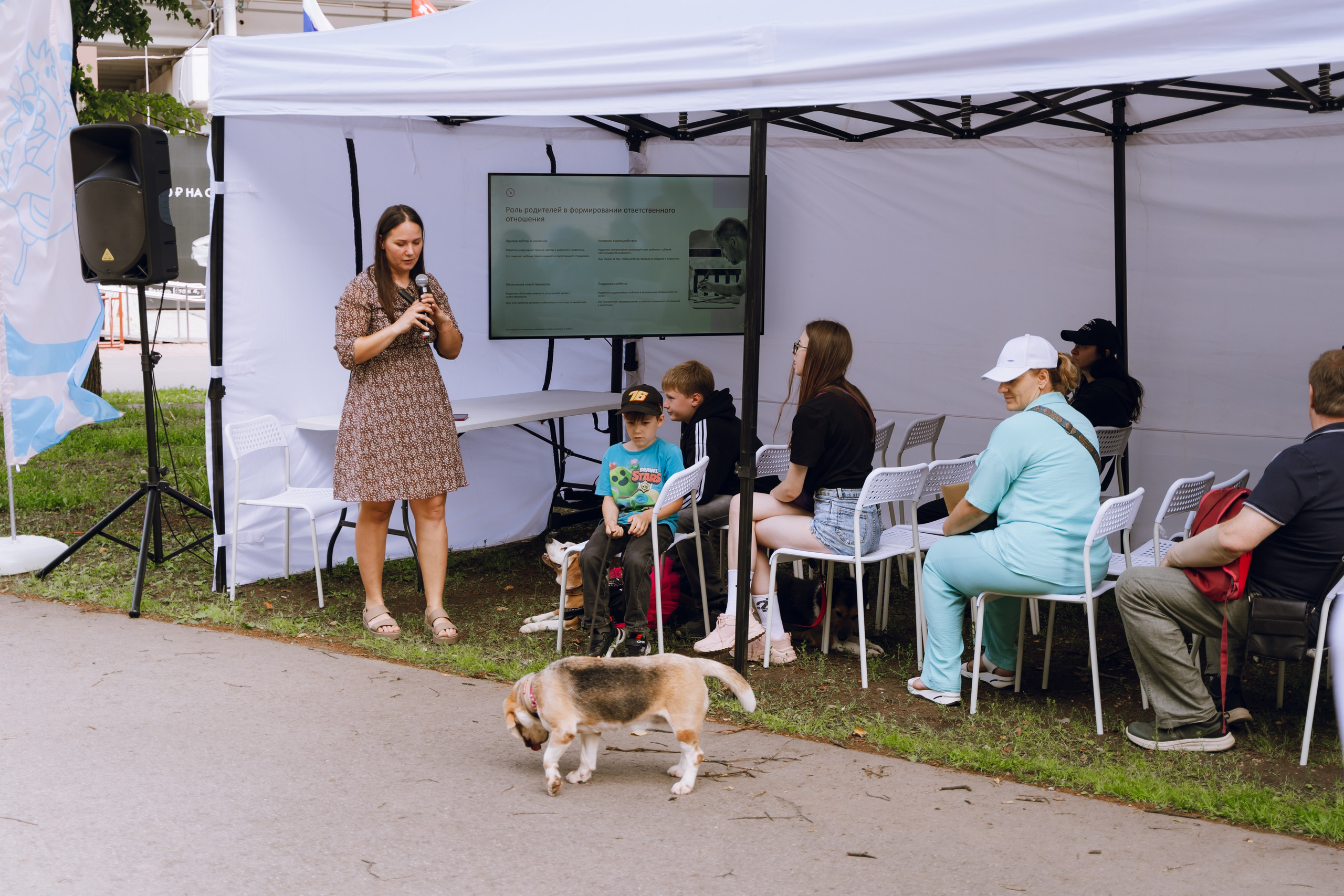 Площадка фестиваля «Мампус и его друзья» в Лесопарке 2025. Фотограф Надежда Погребняк | Рязань | Москва