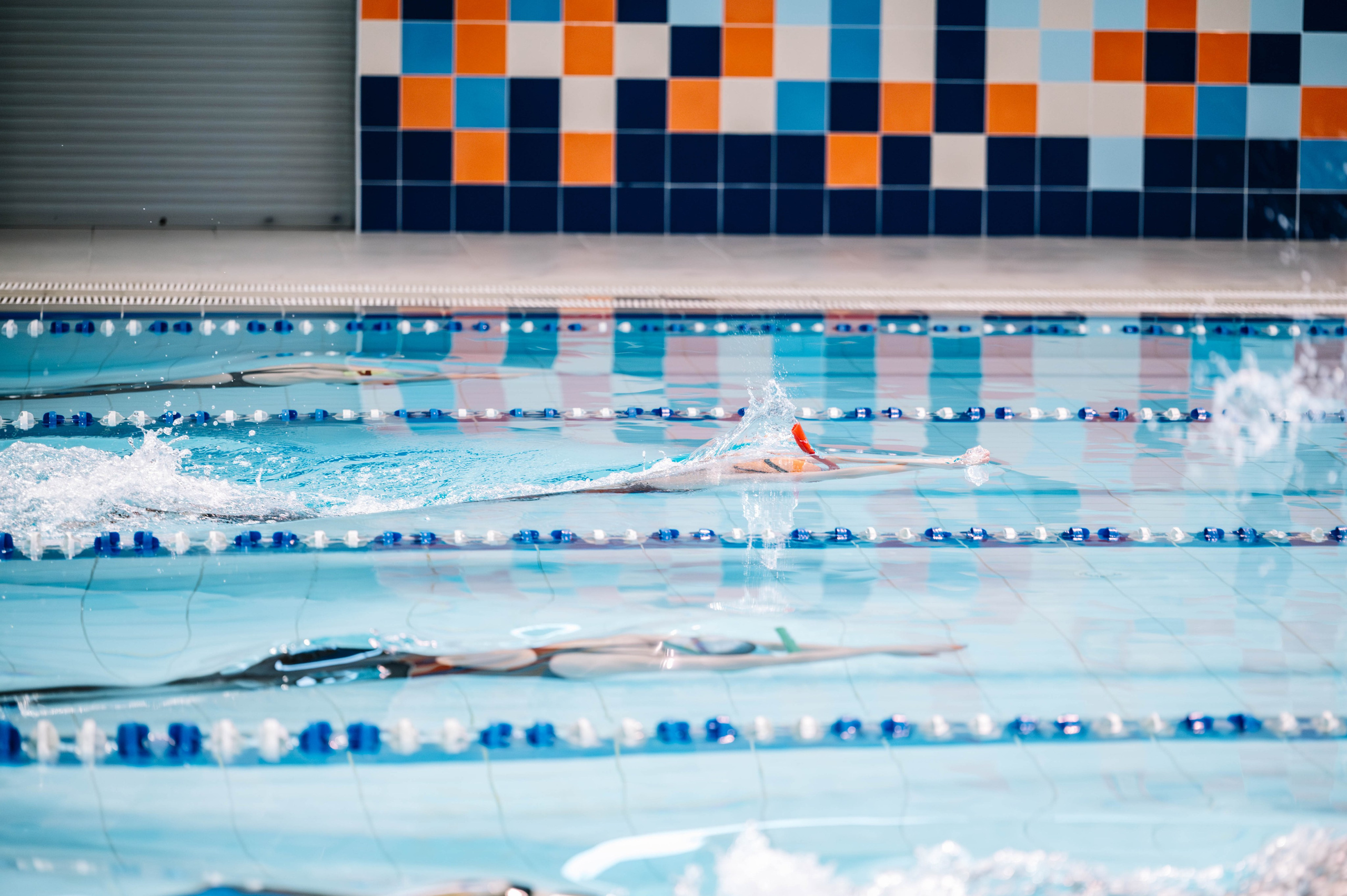 Второй этап кубка плавания ШК Дельфин. Декабрь 2024. Спортивный фотограф в Туле и Тульской области. Файсханова Фото Спорт