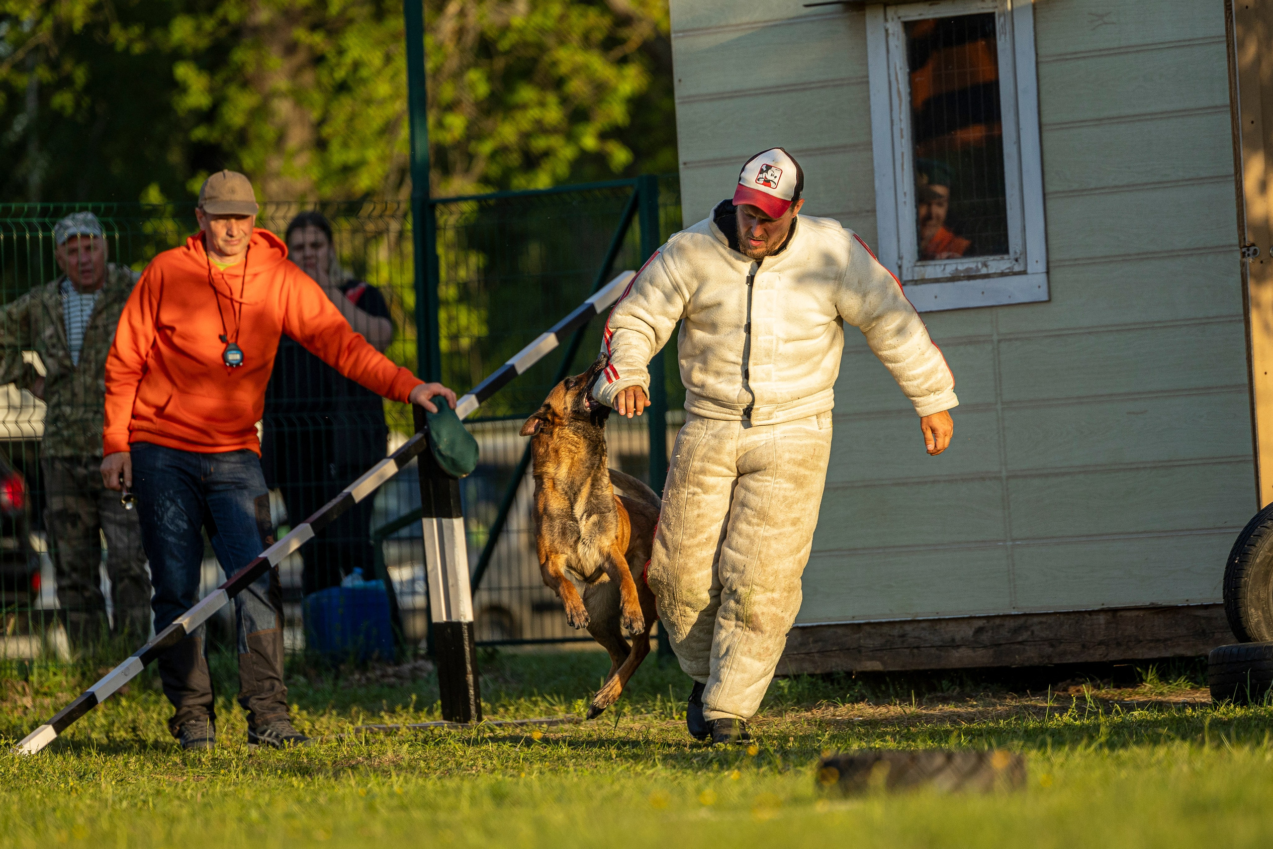 Испытания по мондьорингу в Нижнем Новгороде. Фотограф-анималист Анна Маринич