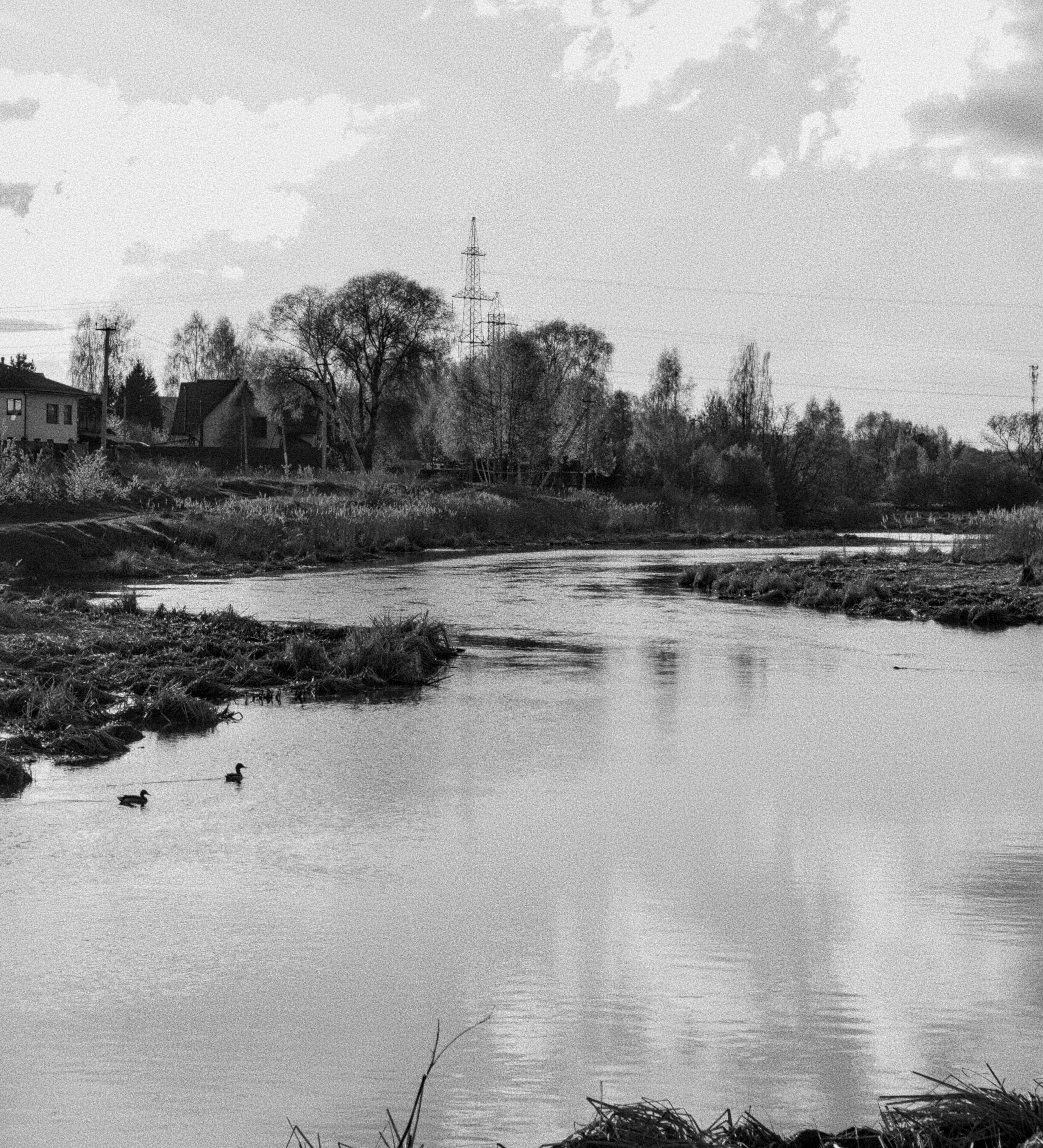 NATURE. Репортажный и уличный фотограф в Щёлково Александра Пименова