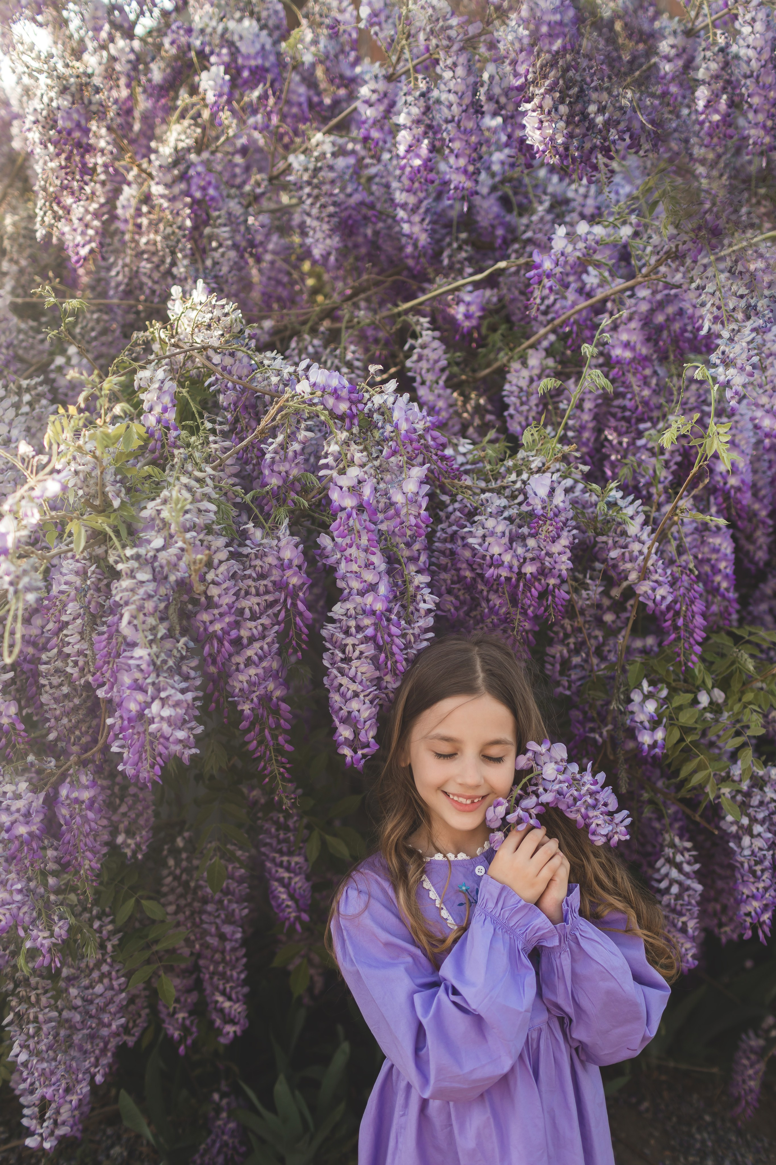 Глициния цветение в краснодаре. Семейный и детский фотограф Краснодар Валерия Власенко