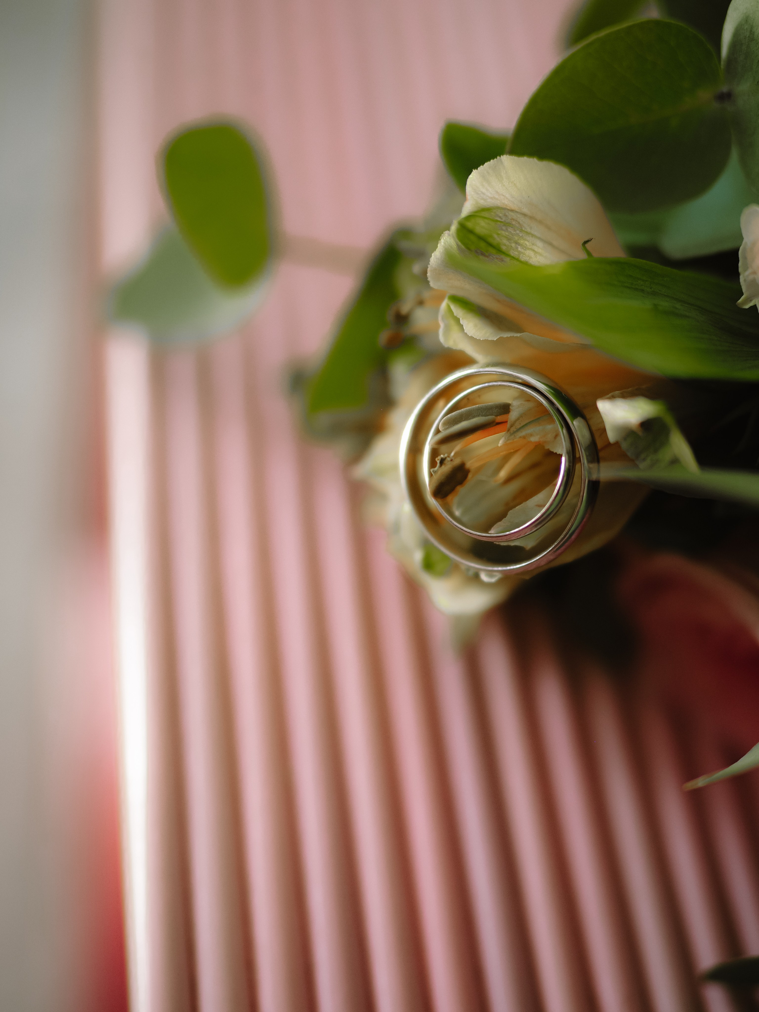 Карина и Илья. Фотограф Рязань. Семейный Свадебный фотограф