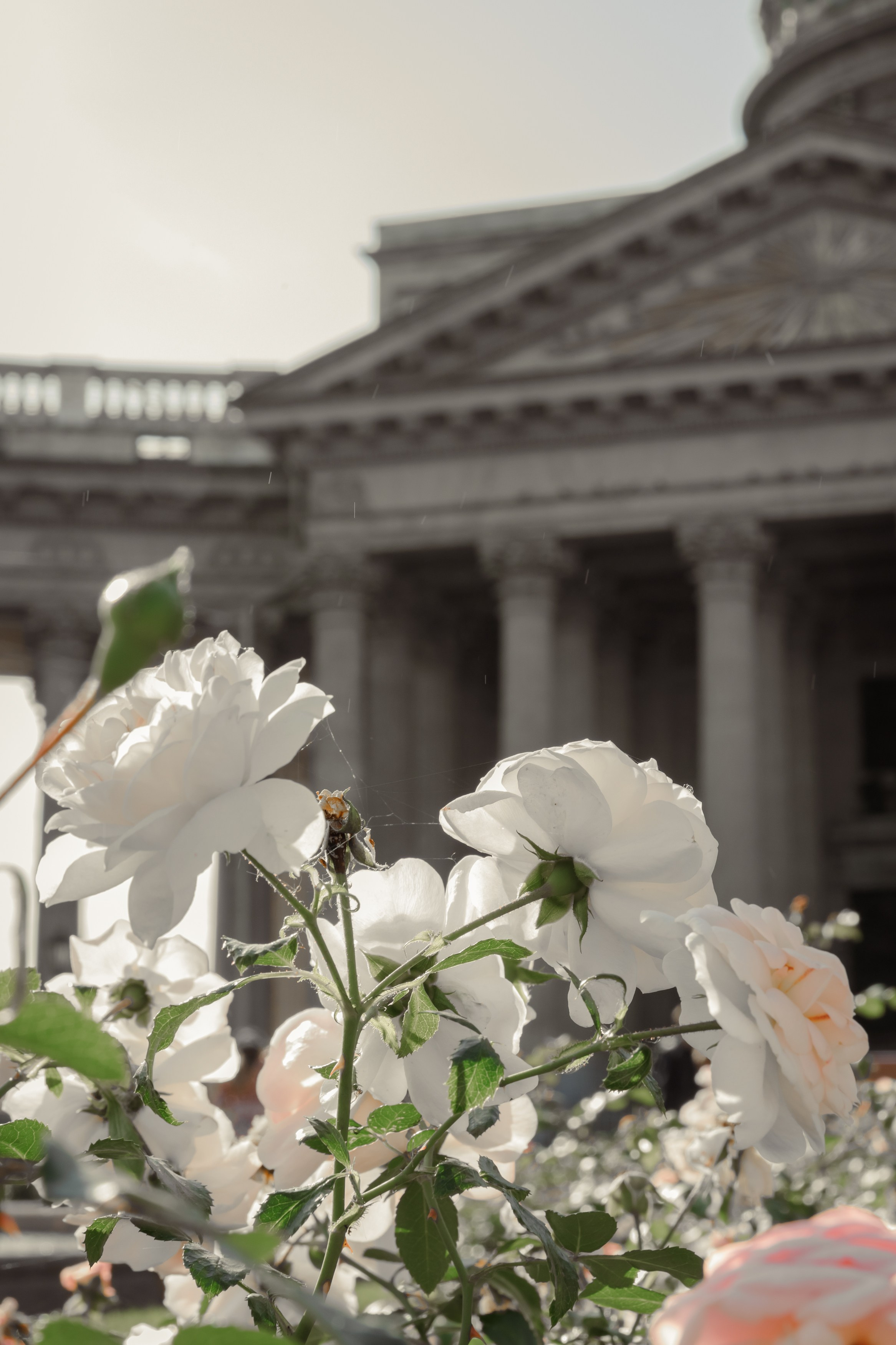 Казанский собор. Свадебный фотограф, крещение, венчание СПБ, Белгород Анна Коршунова