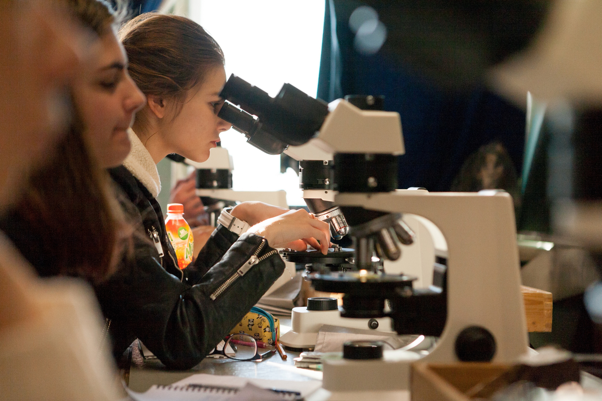 Portrait of Geology. Commercial photographer | Anton Ermakov