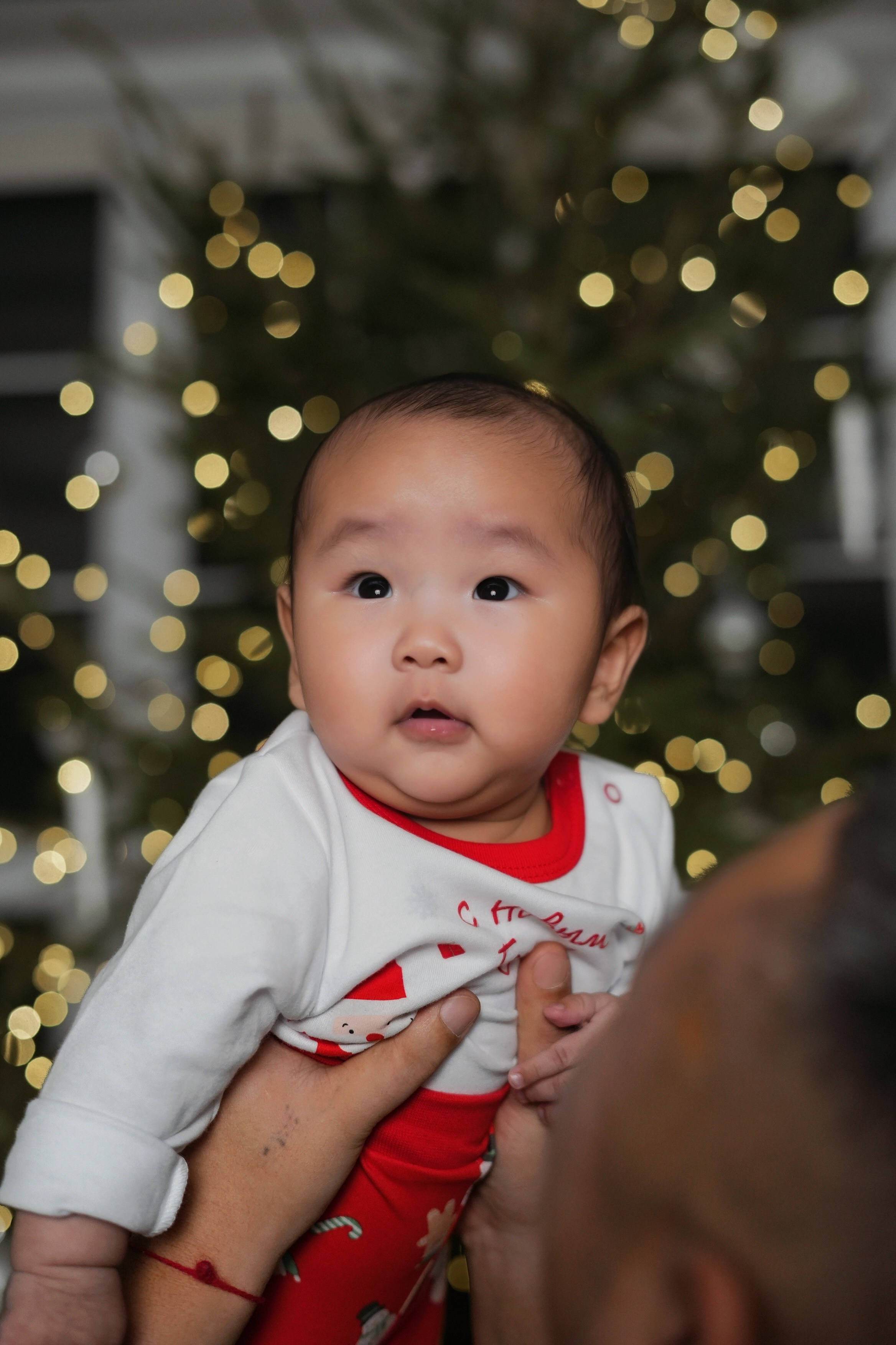 Семья Ли. Фотограф Волгоград Анастасия Ли
