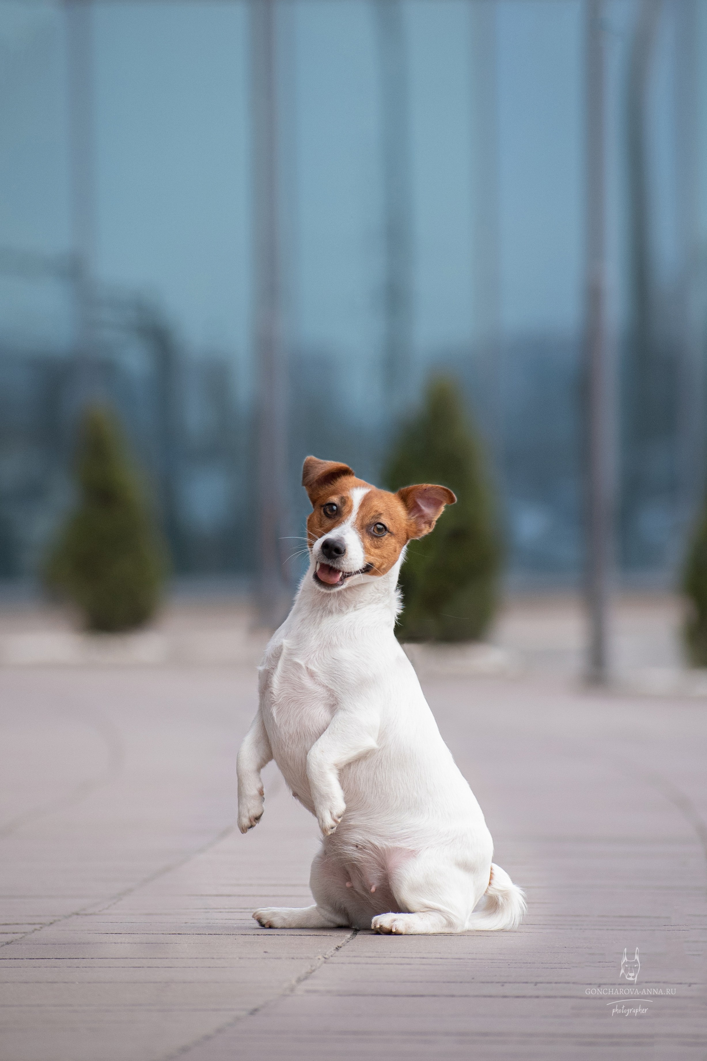 Фотопрогулки. Фотограф анималист в Ростове I Гончарова Анна
