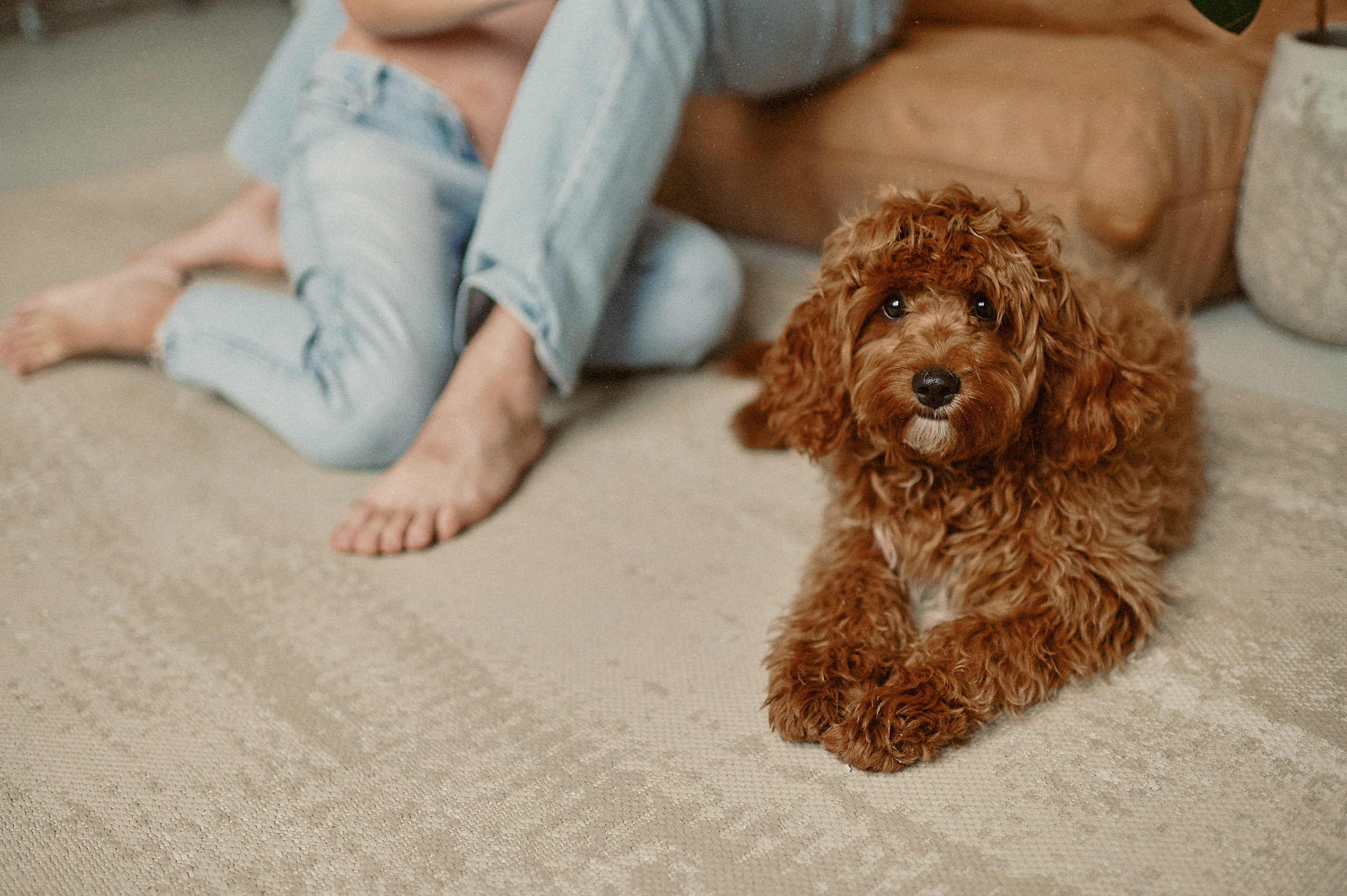 ИСТОРИЯ ОДНОЙ ПУЗОЖИТЕЛЬНИЦЫ. Свадебный и семейный фотограф РИТА БОЧКАРЁВА