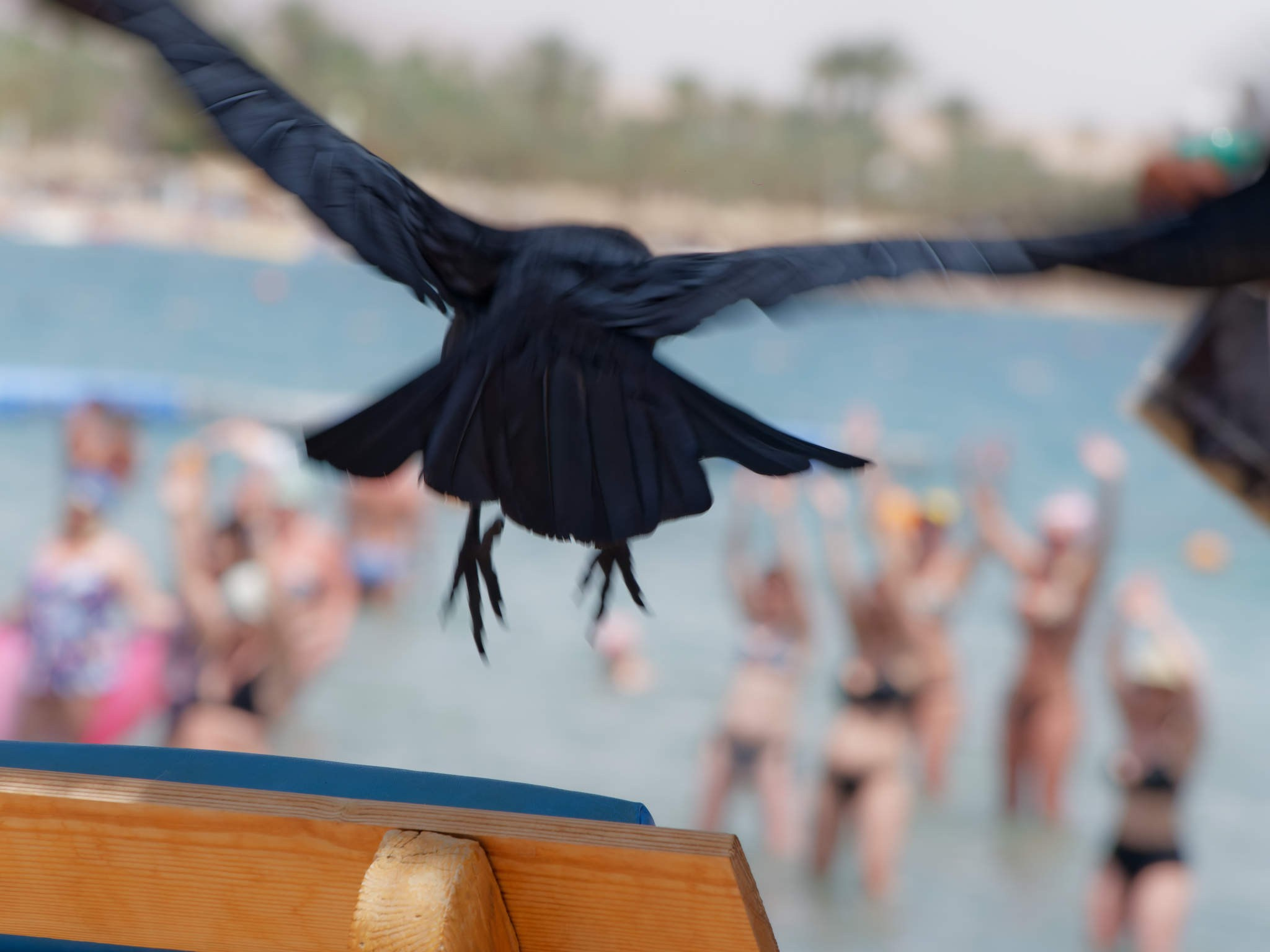 Шарм-эль-Шейх 2024. Избранные фотографии