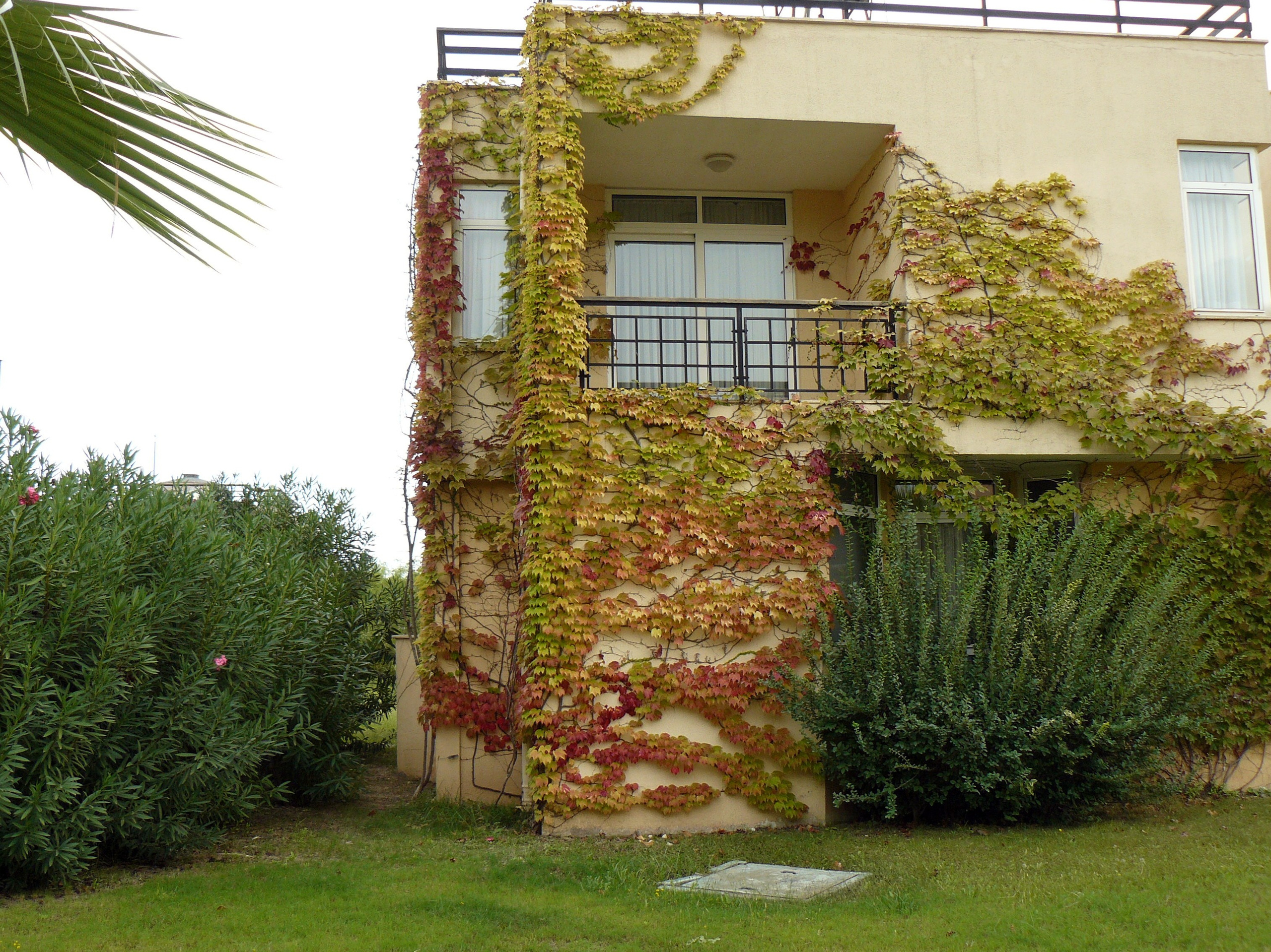 Кемер, Чамьюва 2008. Избранные фотографии