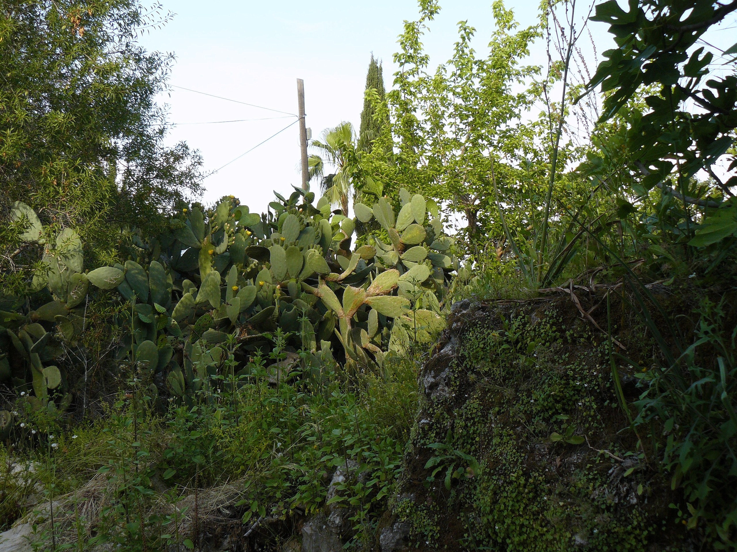 Алания 2014 старая крепость. Фотопрогулки по Миру