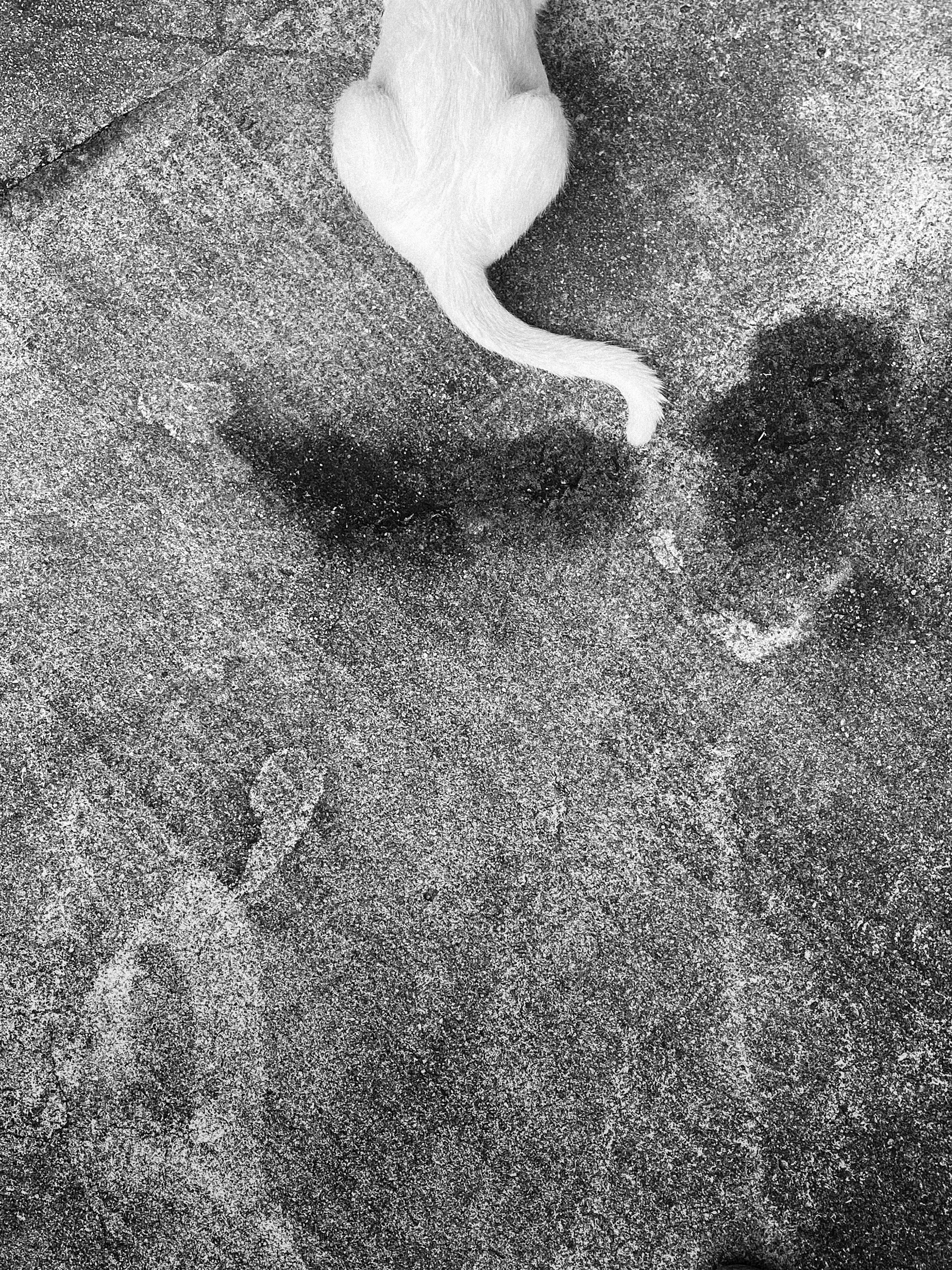 Современная концептуальная фотография о теле, уязвимости и идентичности. Визуальная практика на стиле честности, пост-иронии и искусства.Рекламная фотография, Концептуальная фотография, Современный художник, Психология, Коммерческий фотограф, Репортажный фотограф, Стрит фотография, Арт, Сюрреализм, Мобильная фотография, Снято на айфон, Дима Бурза