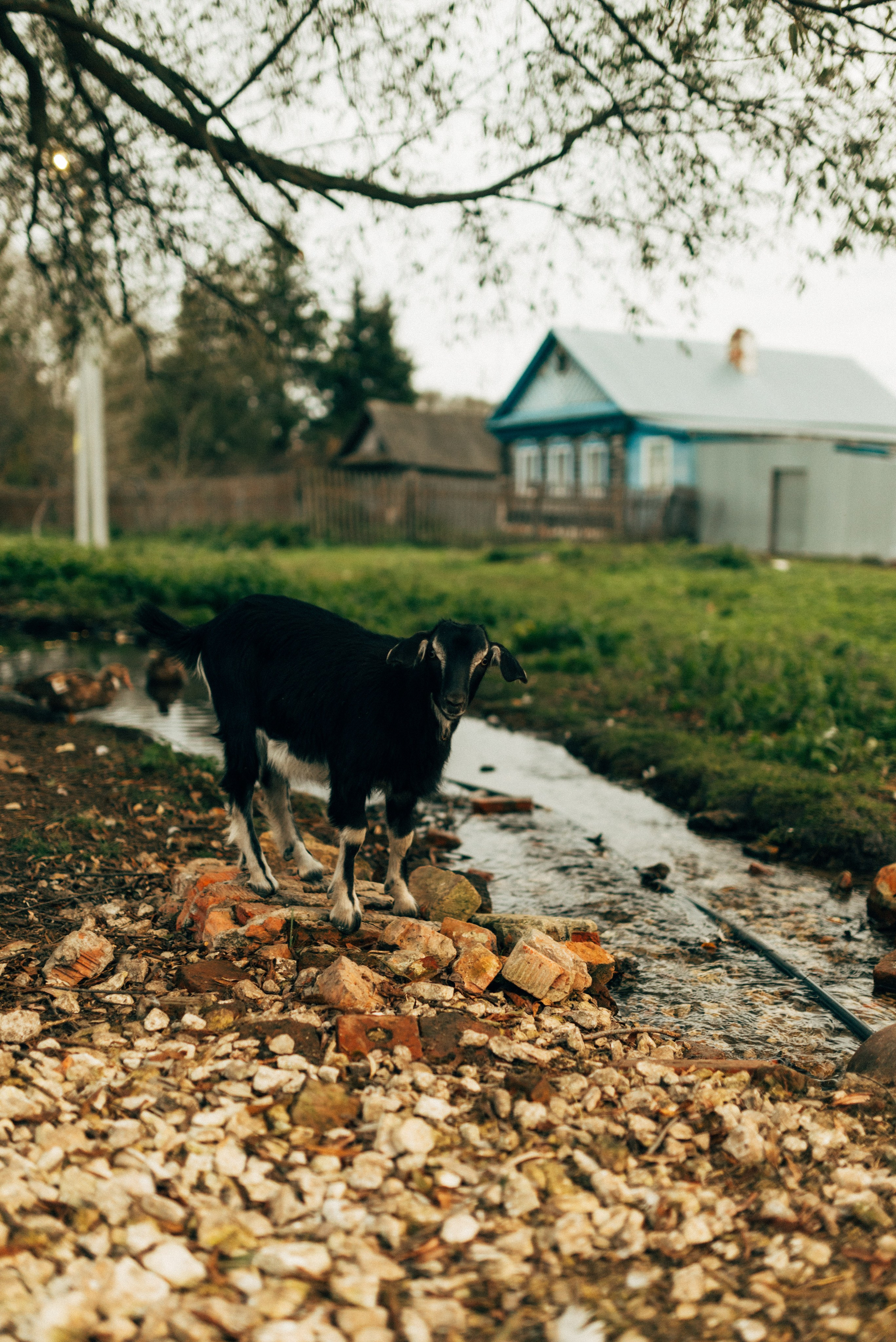 Самые дружные!. Свадебный фотограф Анастасия Бударина