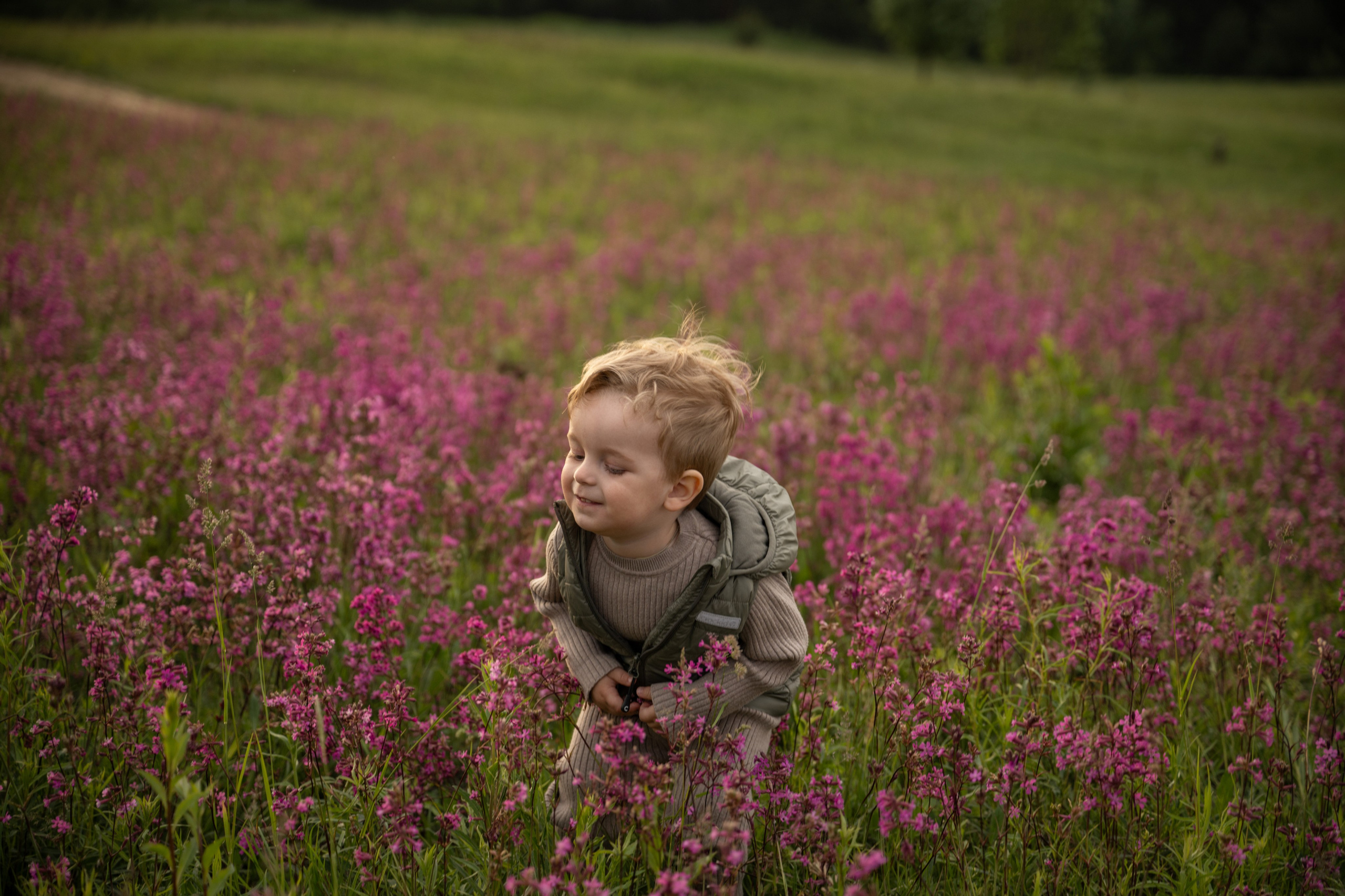 Прогулка на Колтушских высотах. Детский и семейный фотограф в Санкт-Петербурге и Ярославле Павлова Гал
